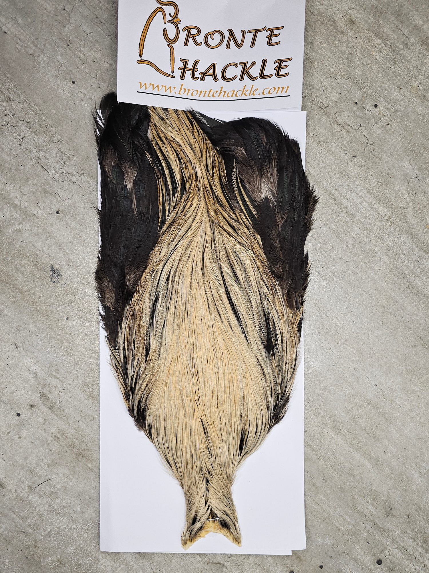 Bronte Hackle Cock Cape   cc-2026-27