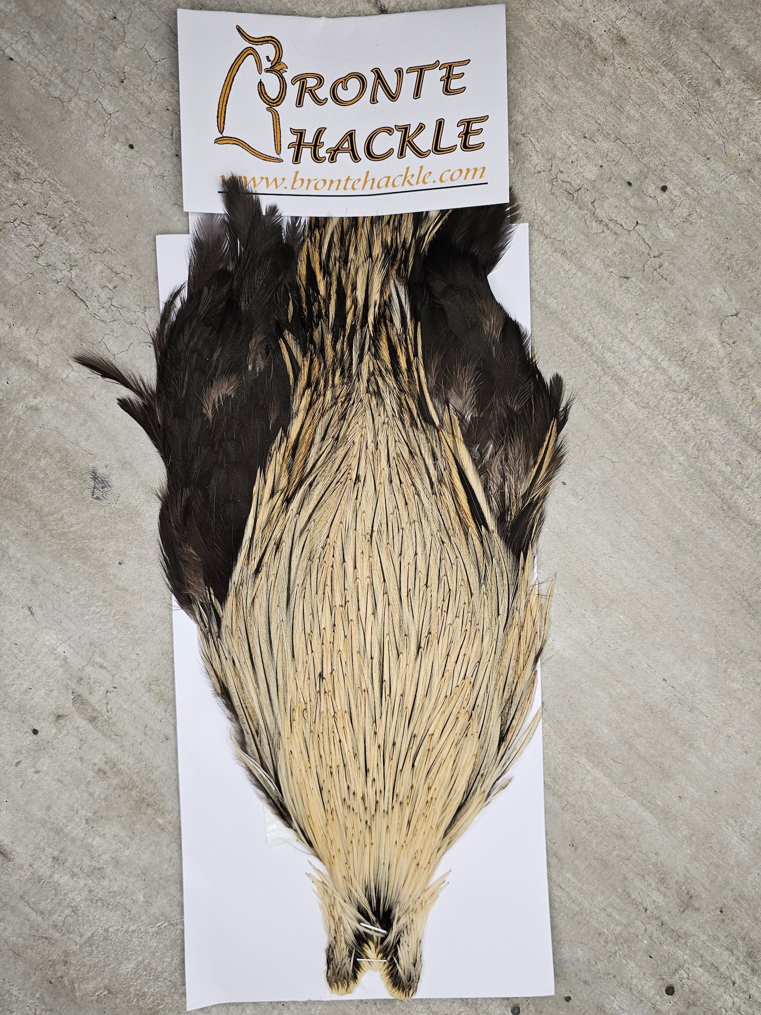 Bronte Hackle Cock Cape   cc-2026-28