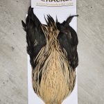 Bronte Hackle Cock Cape   cc-2026-29