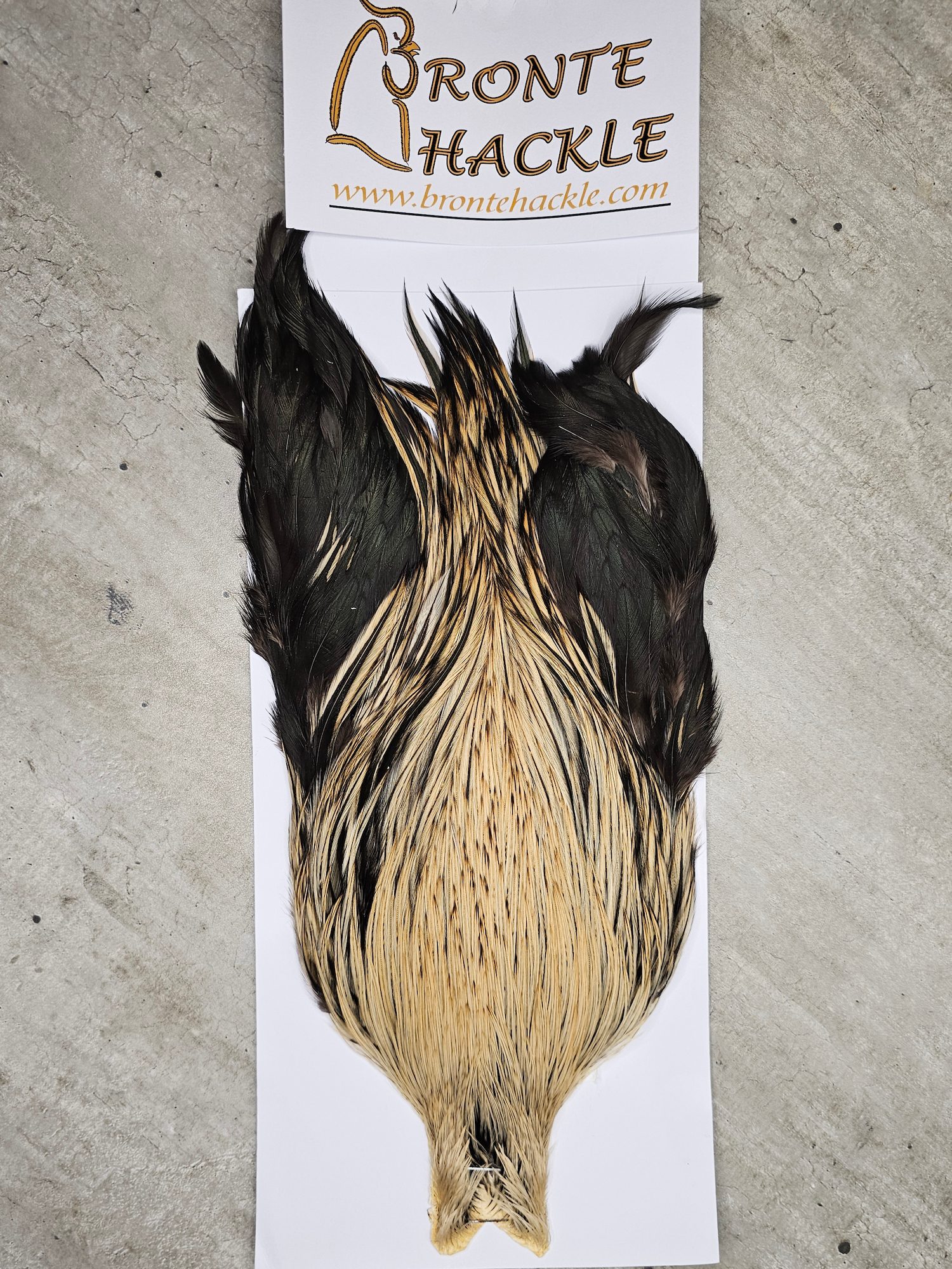 Bronte Hackle Cock Cape   cc-2026-29