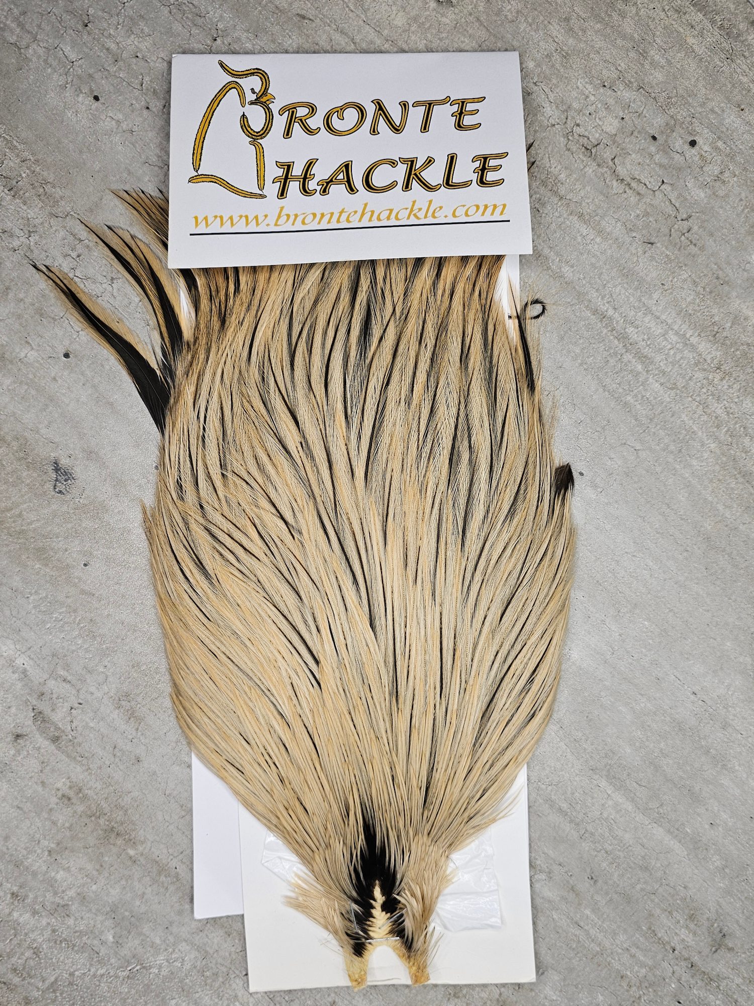 Bronte Hackle Cock Cape   cc-2019-64