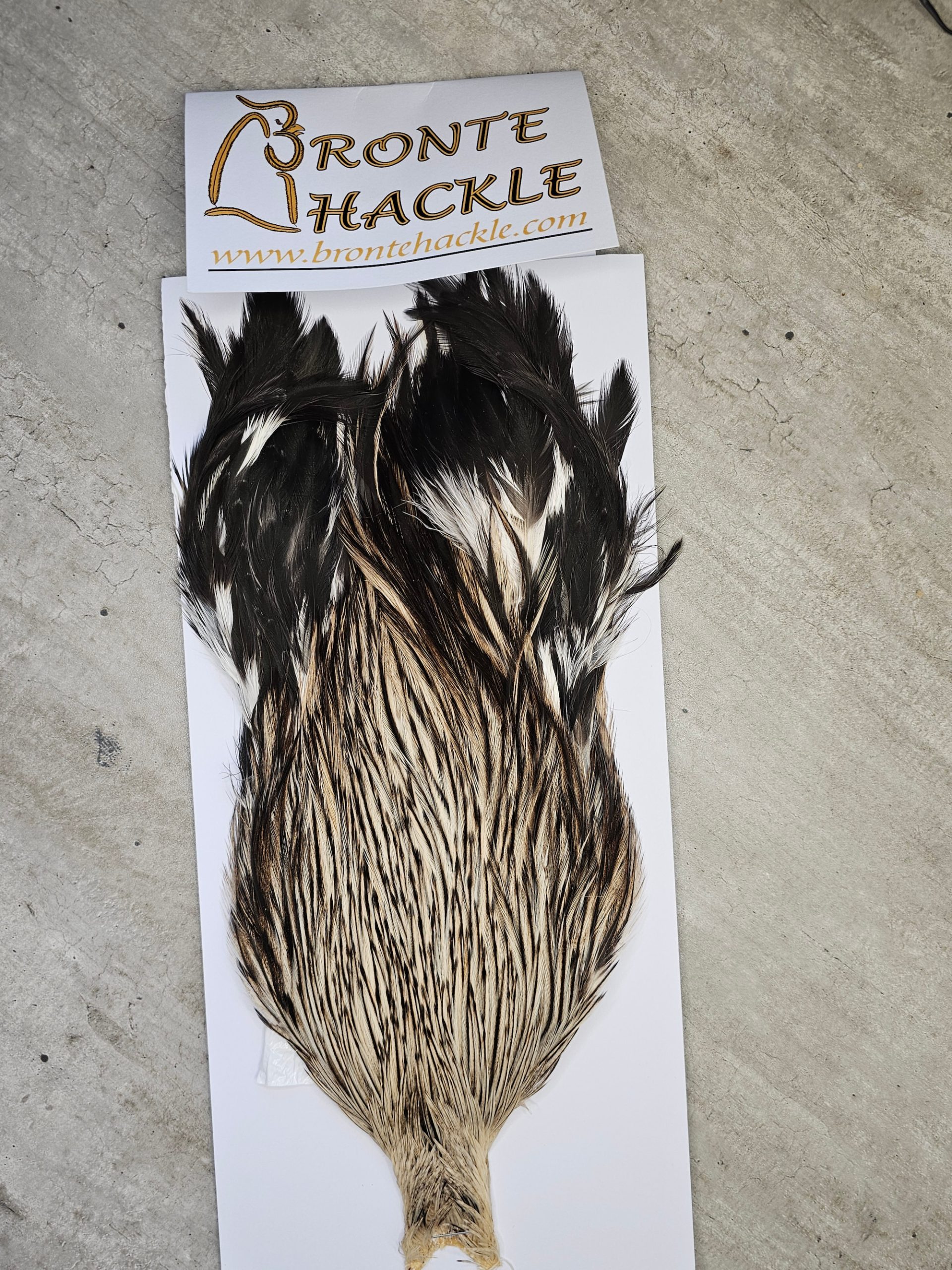 Bronte Hackle Cock Cape   cc-2025-19
