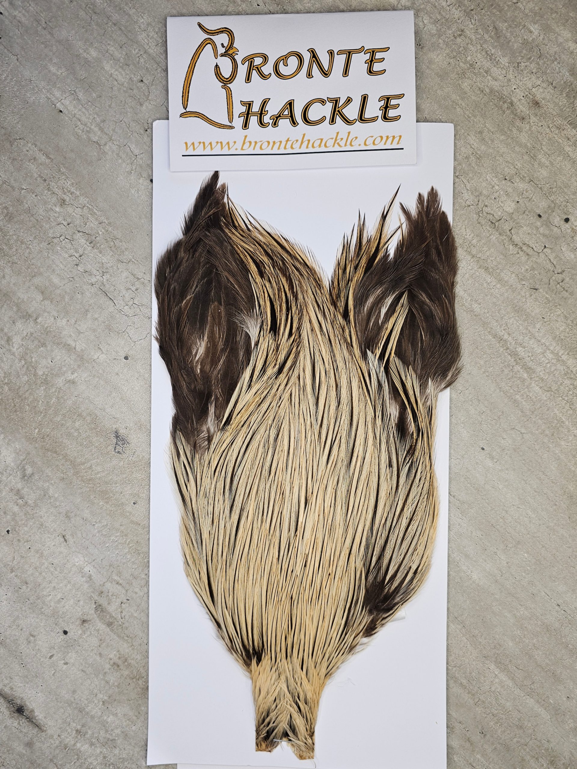 Bronte Hackle Cock Cape   cc-2026-30