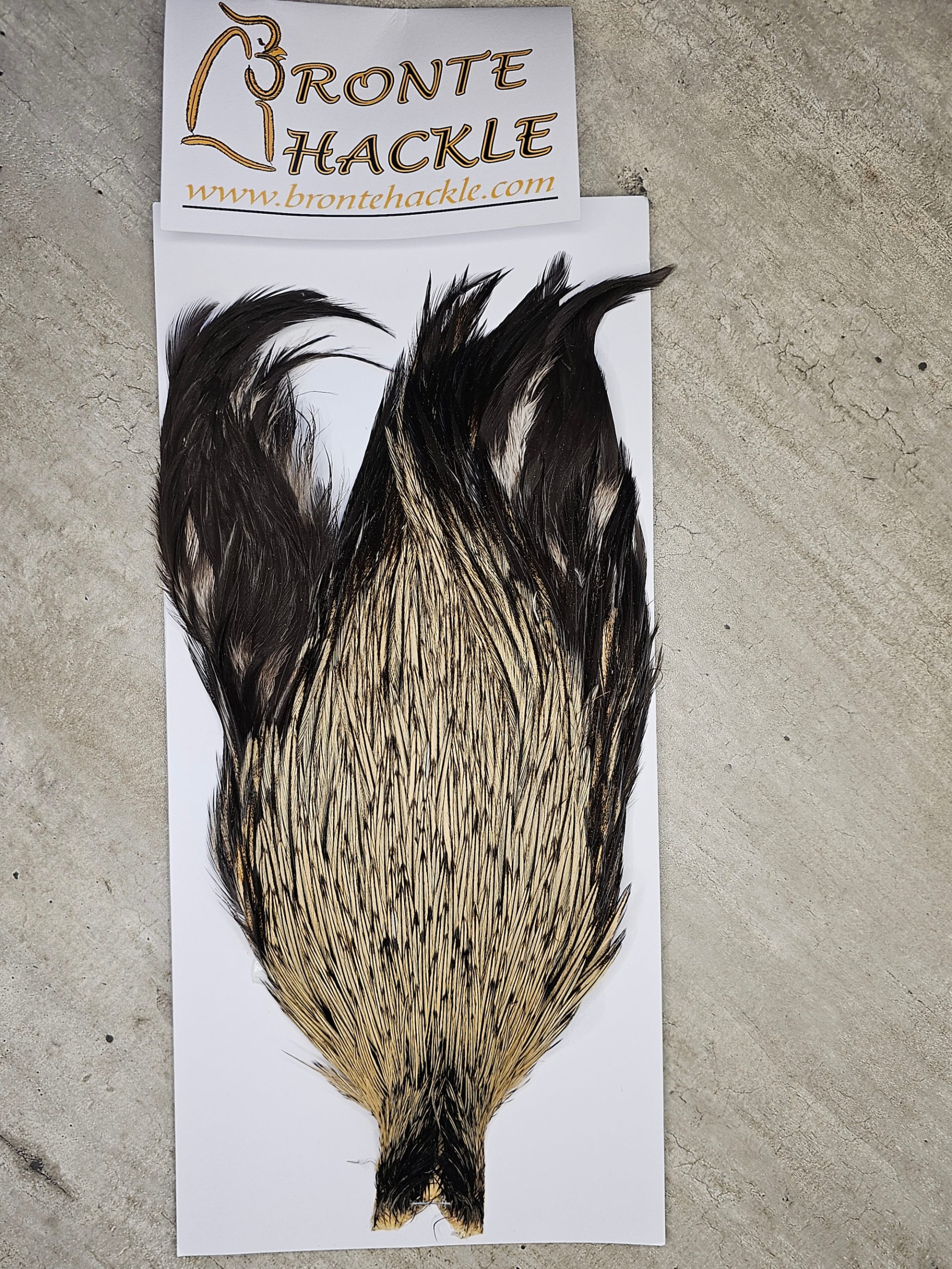 Bronte Hackle Cock Cape   cc-2025-09