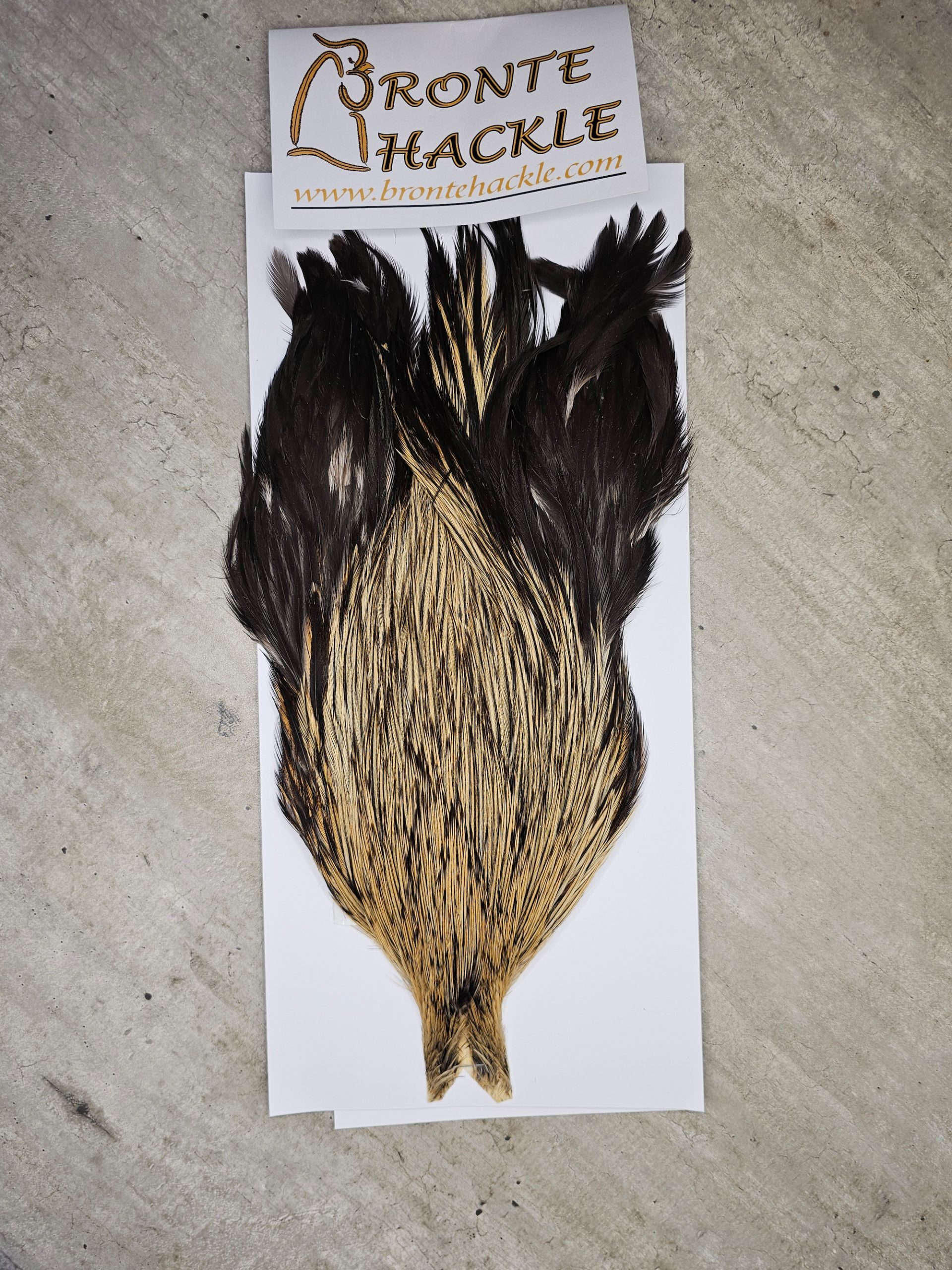 Bronte Hackle Cock Cape   cc-2025-02