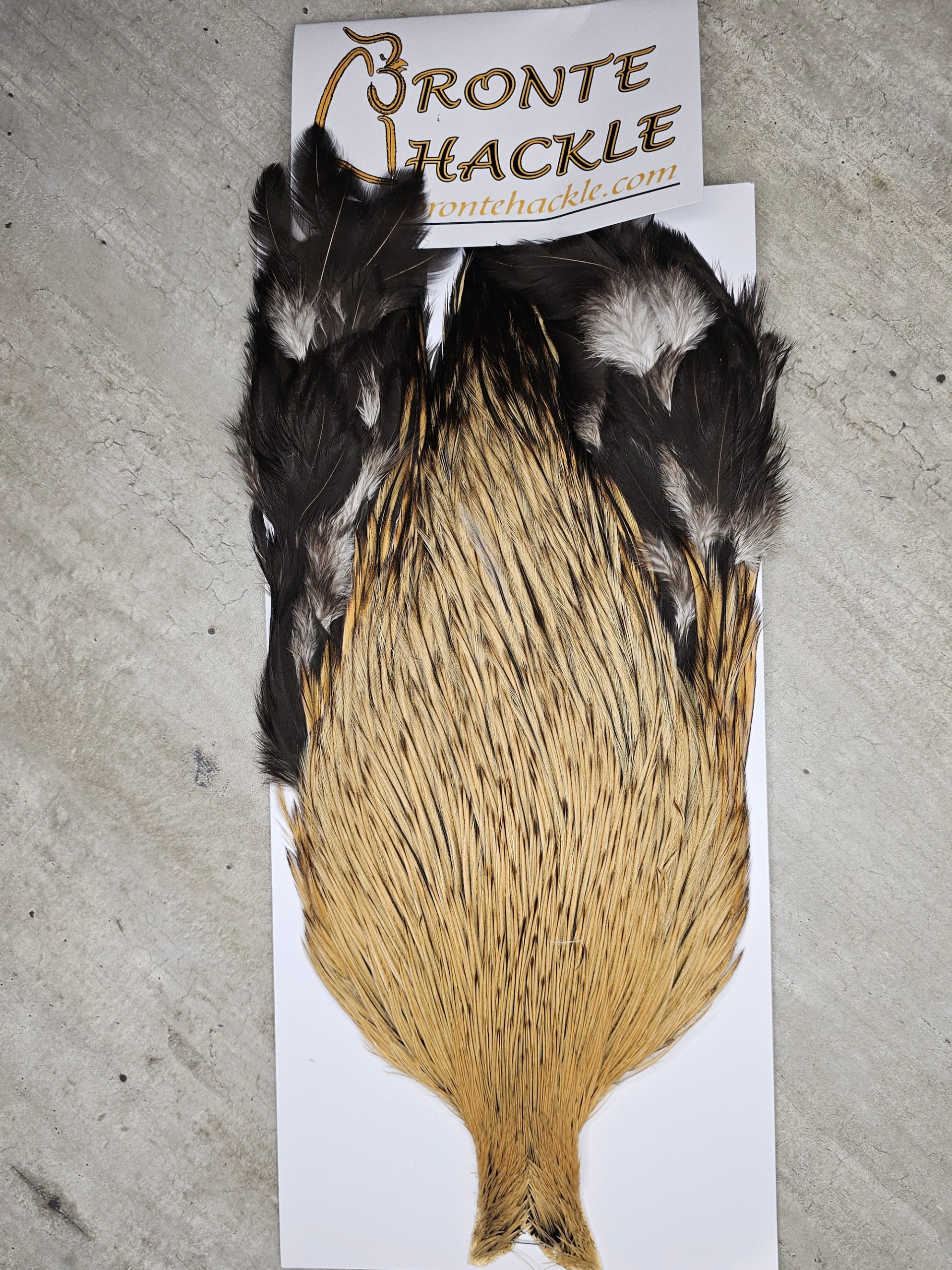 Bronte Hackle Cock Cape   cc-2025-15