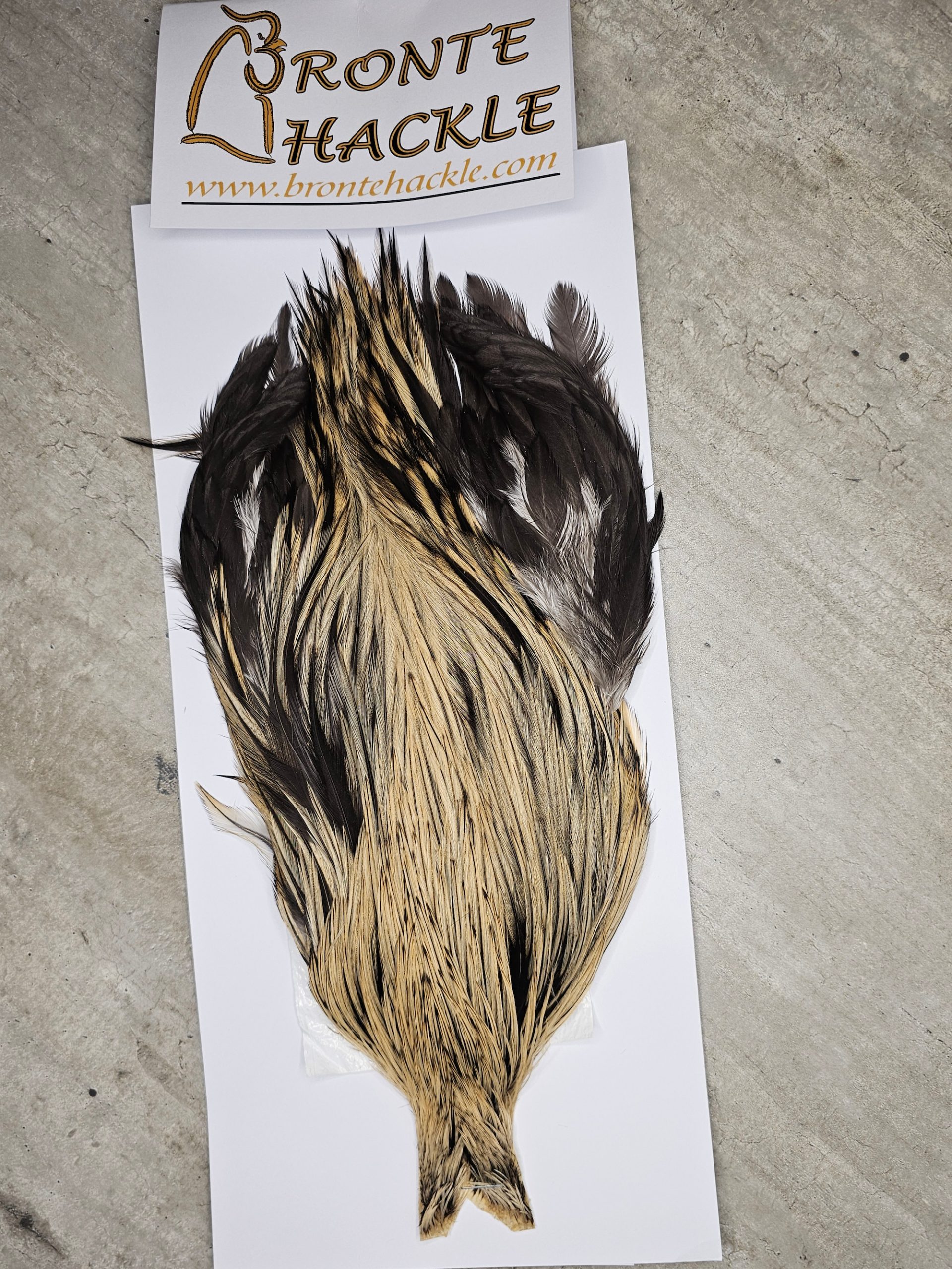 Bronte Hackle Cock Cape   cc-2026-31