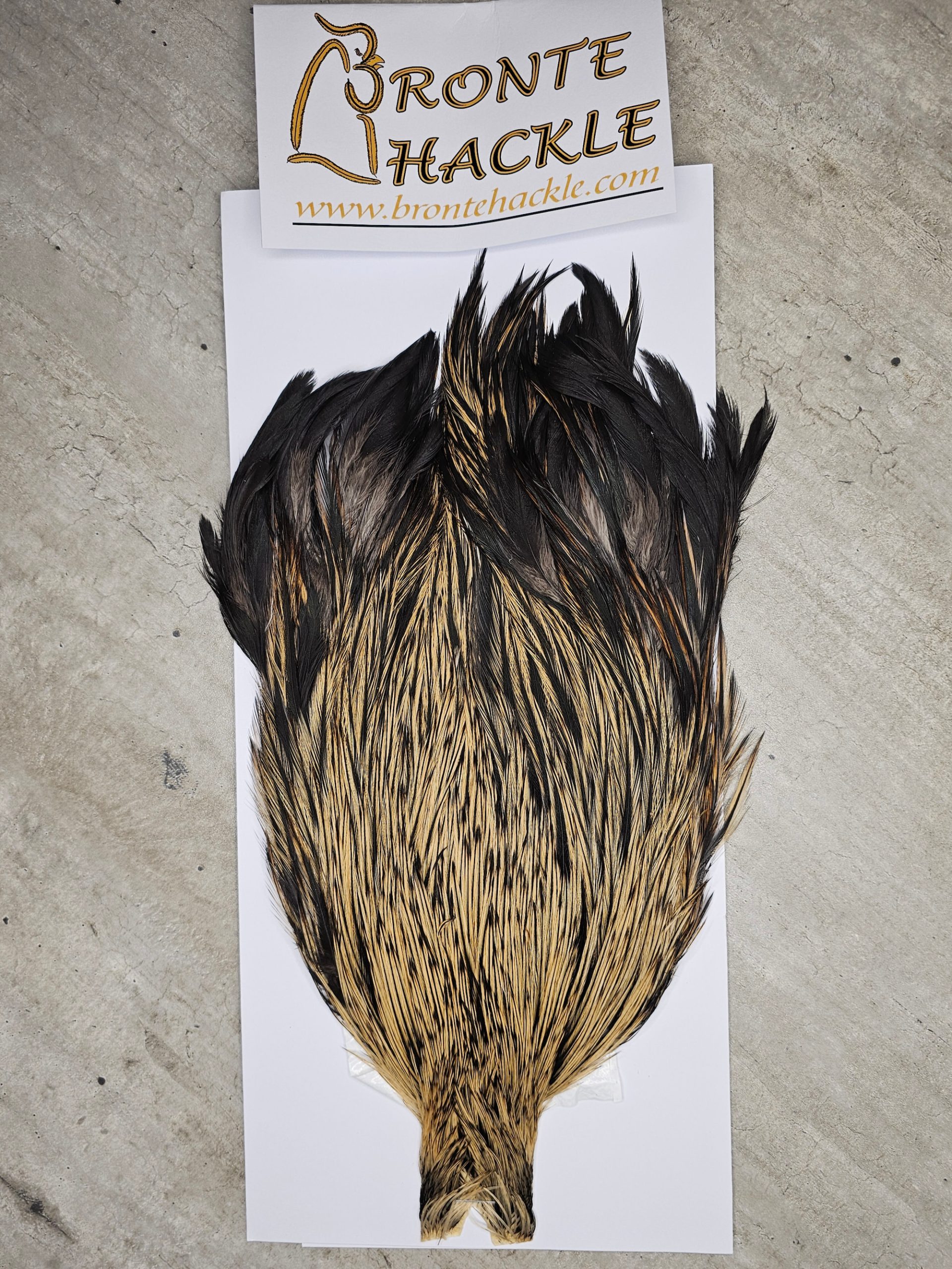 Bronte Hackle Cock Cape   cc-2026-32