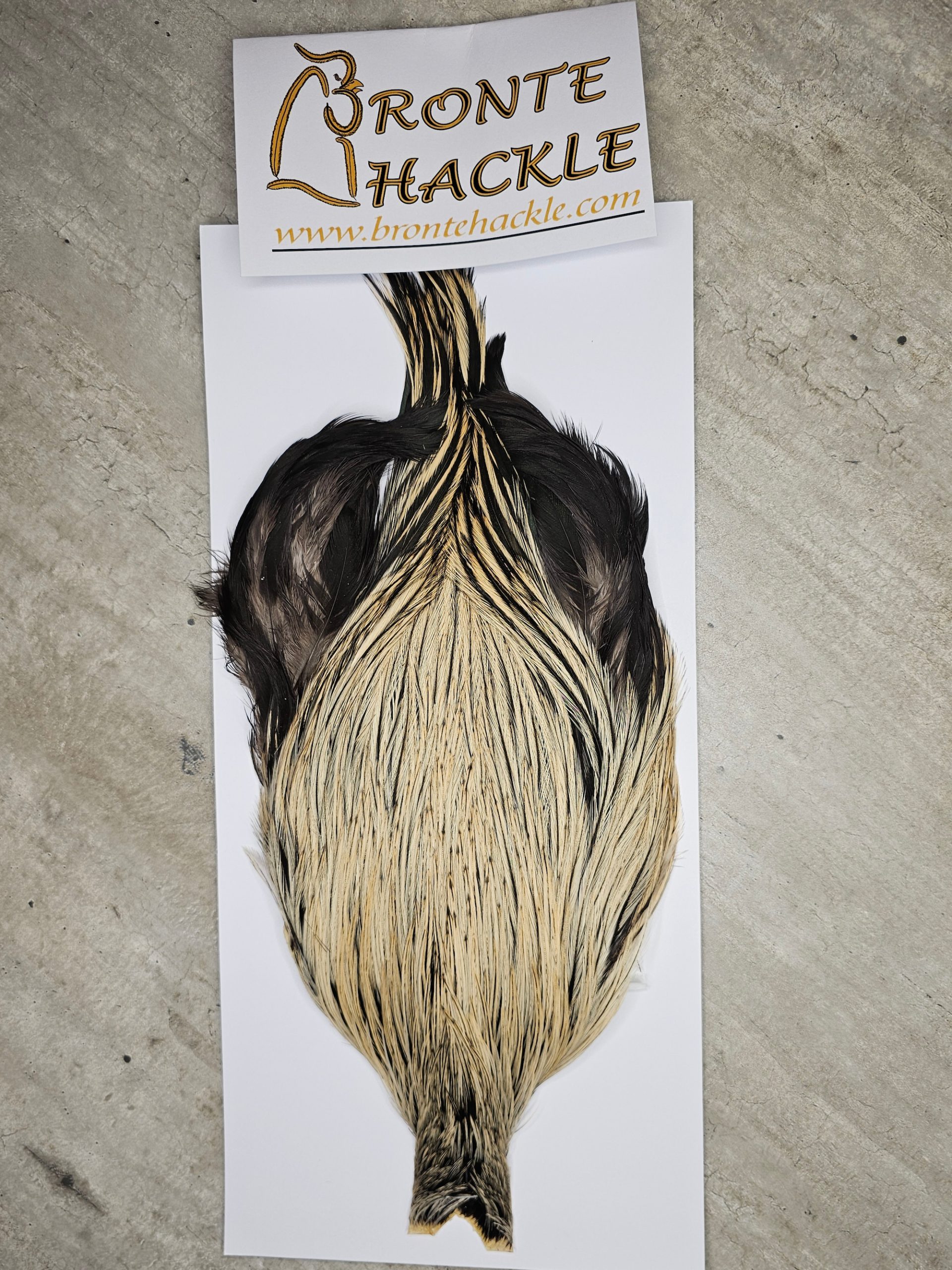 Bronte Hackle Cock Cape   cc-2026-33
