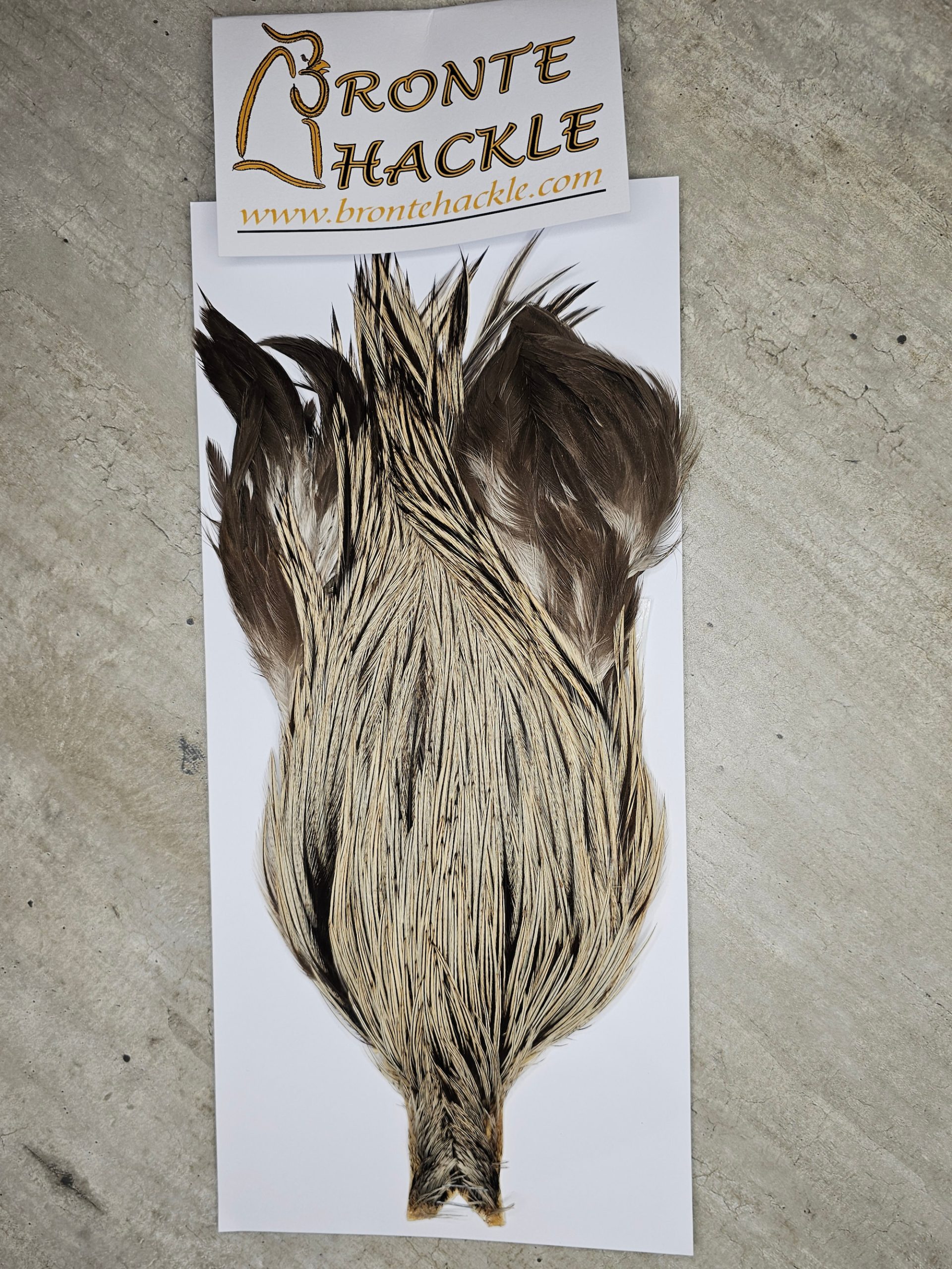 Bronte Hackle Cock Cape   cc-2026-34