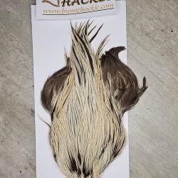 Bronte Hackle Cock Cape   cc-2026-35