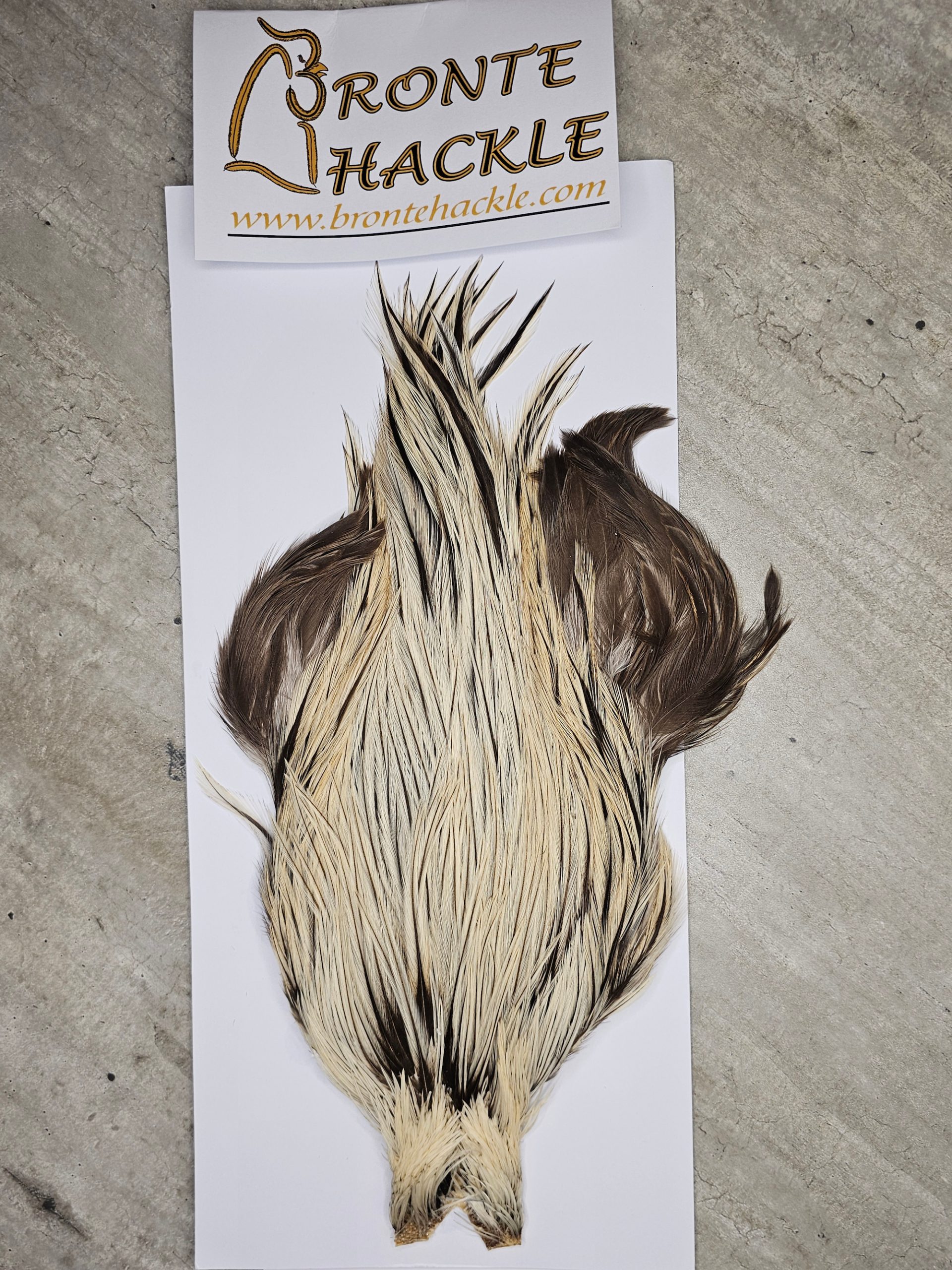 Bronte Hackle Cock Cape   cc-2026-35