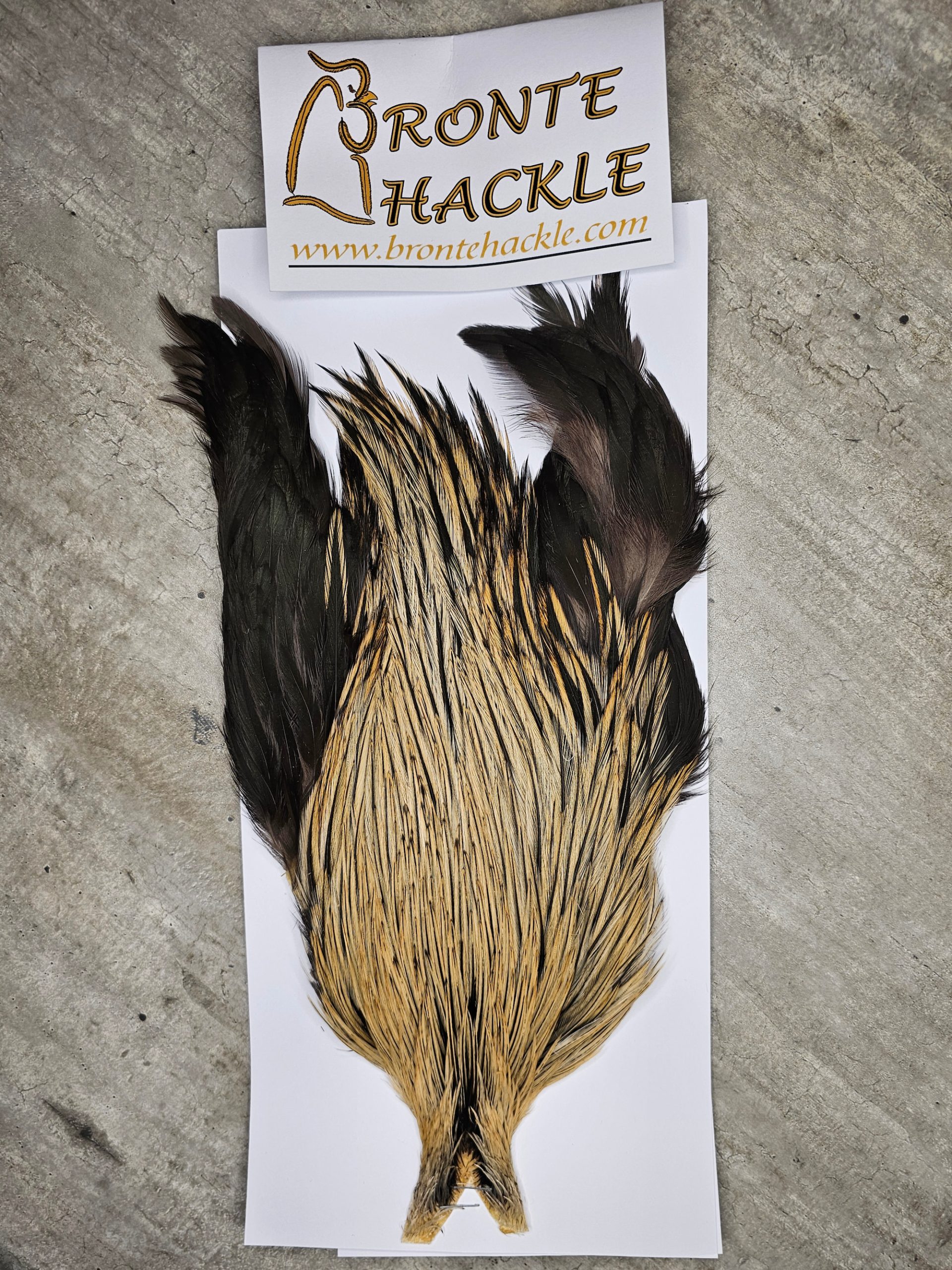 Bronte Hackle Cock Cape   cc-2025-14