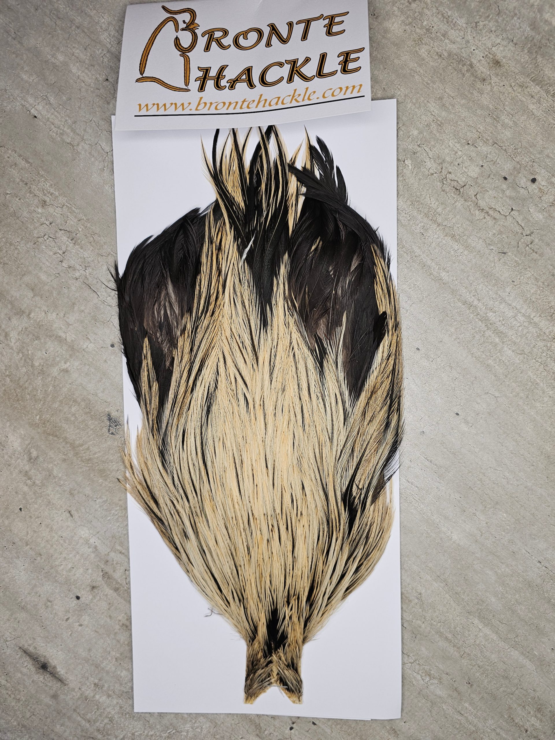 Bronte Hackle Cock Cape   cc-2026-36