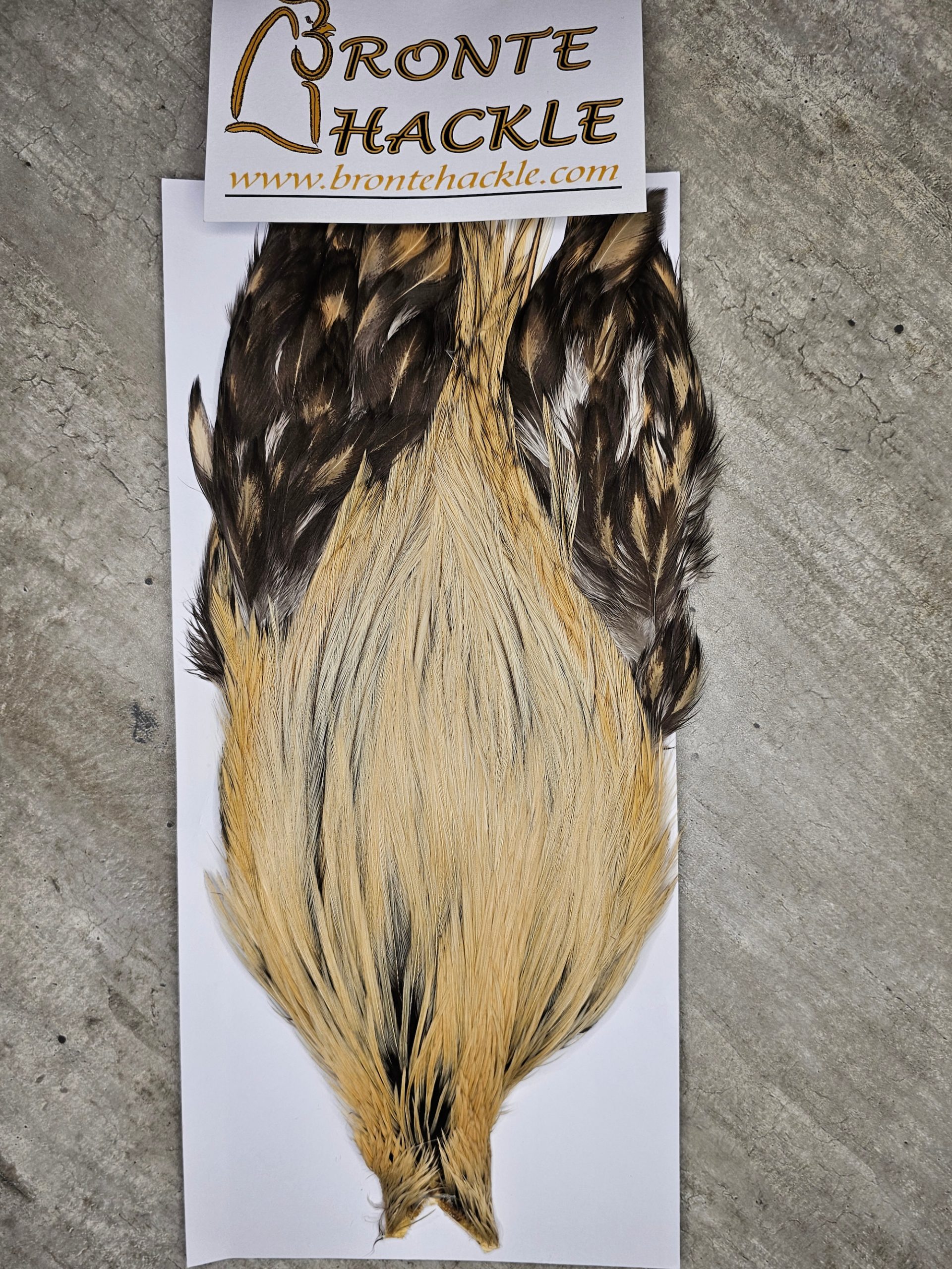 Bronte Hackle Cock Cape   cc-2025-05