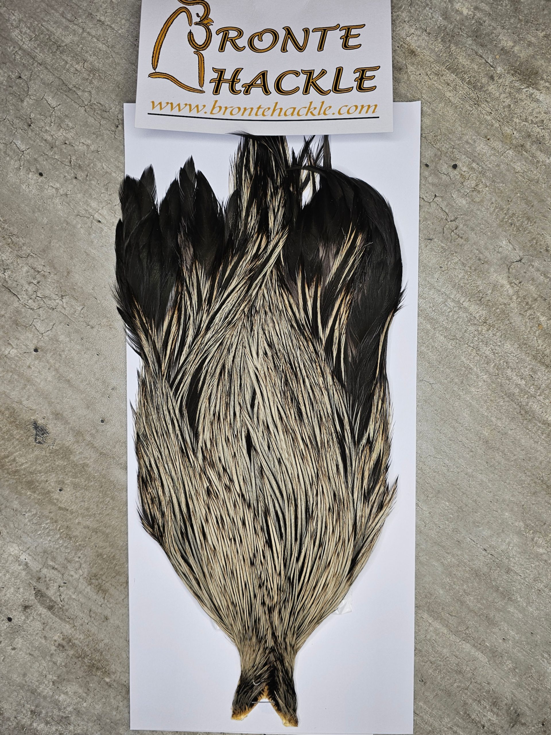 Bronte Hackle Cock Cape   cc-2026-41