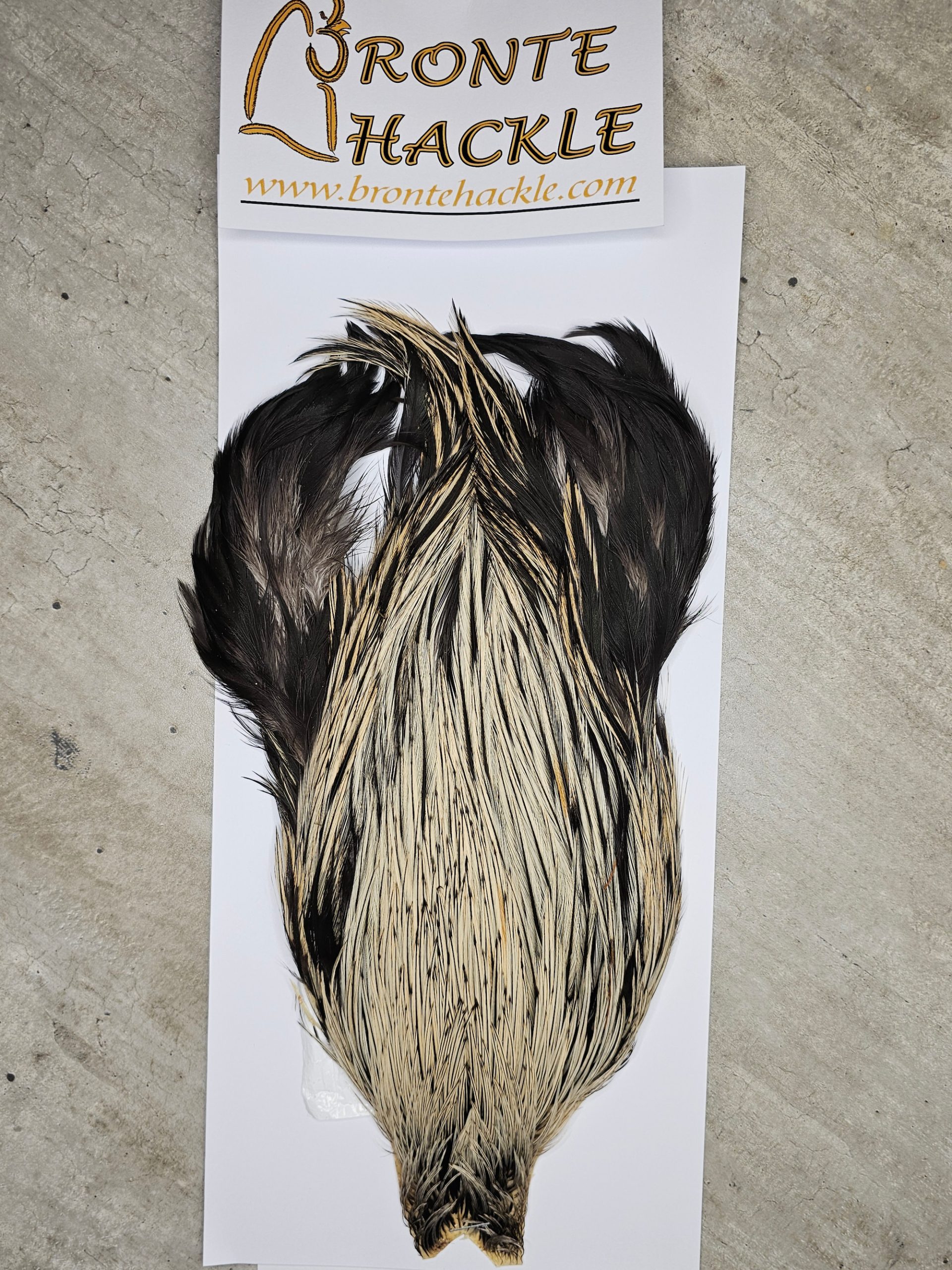 Bronte Hackle Cock Cape   cc-2026-42