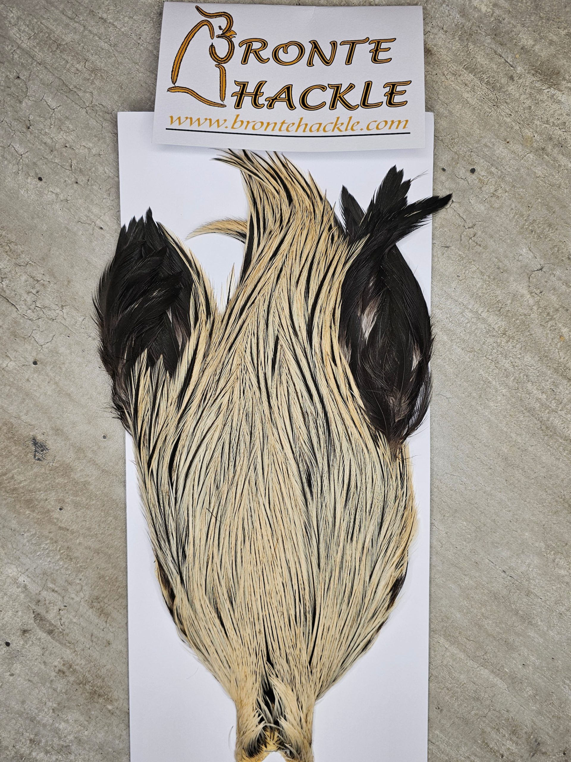 Bronte Hackle Cock Cape   cc-2026-43