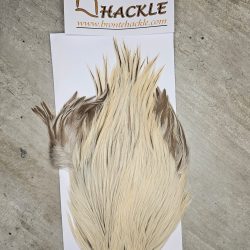 Bronte Hackle Cock Cape   cc-2026-44
