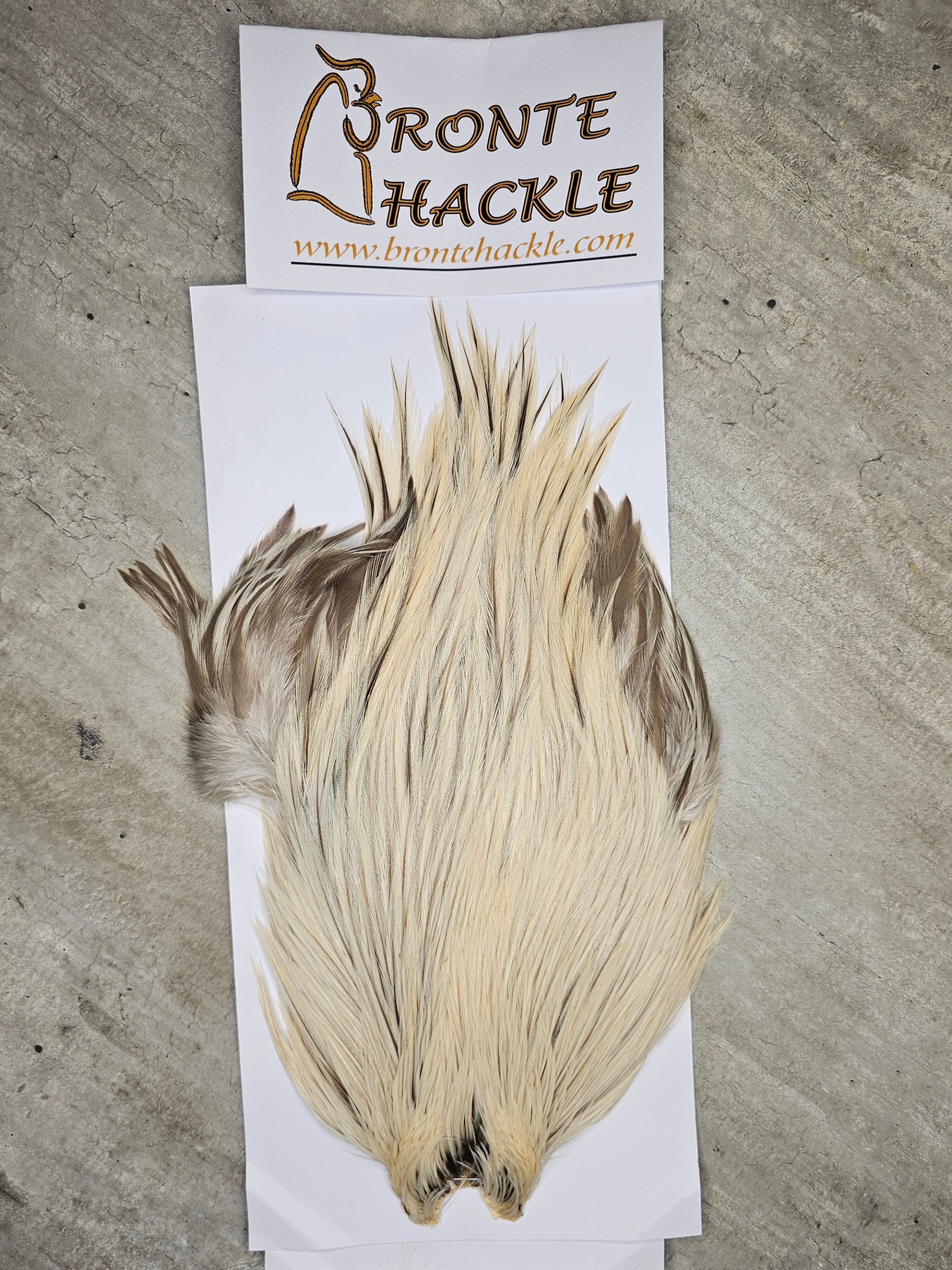 Bronte Hackle Cock Cape   cc-2026-44