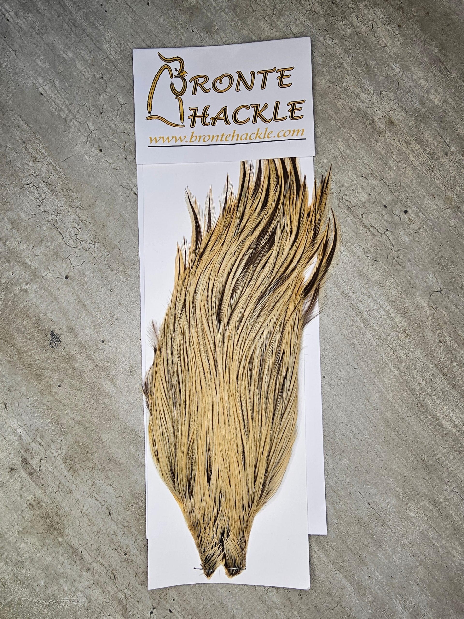 Bronte Hackle Cock Cape   cc-2019-46