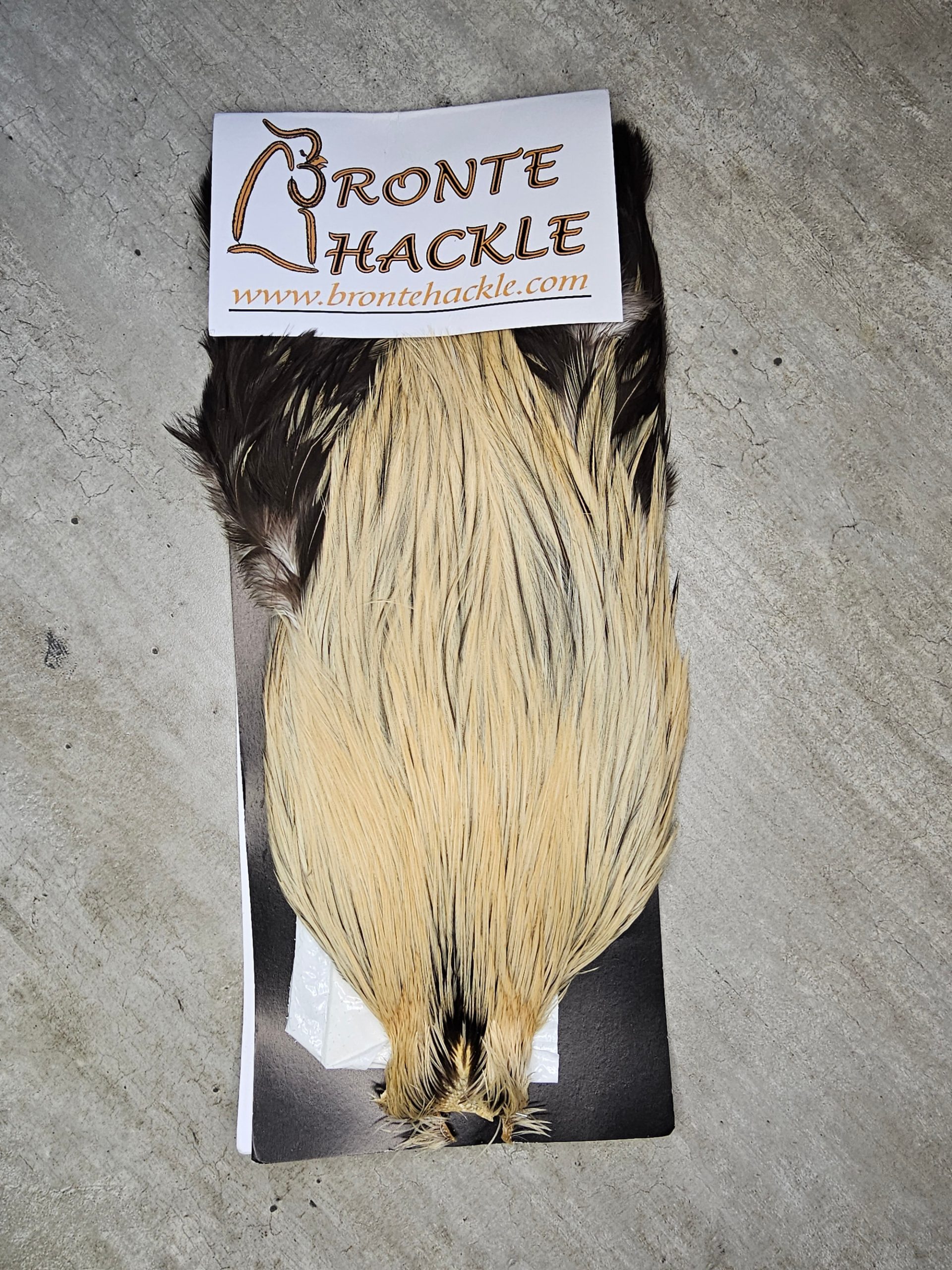 Bronte Hackle Cock Cape   cc-2019-17