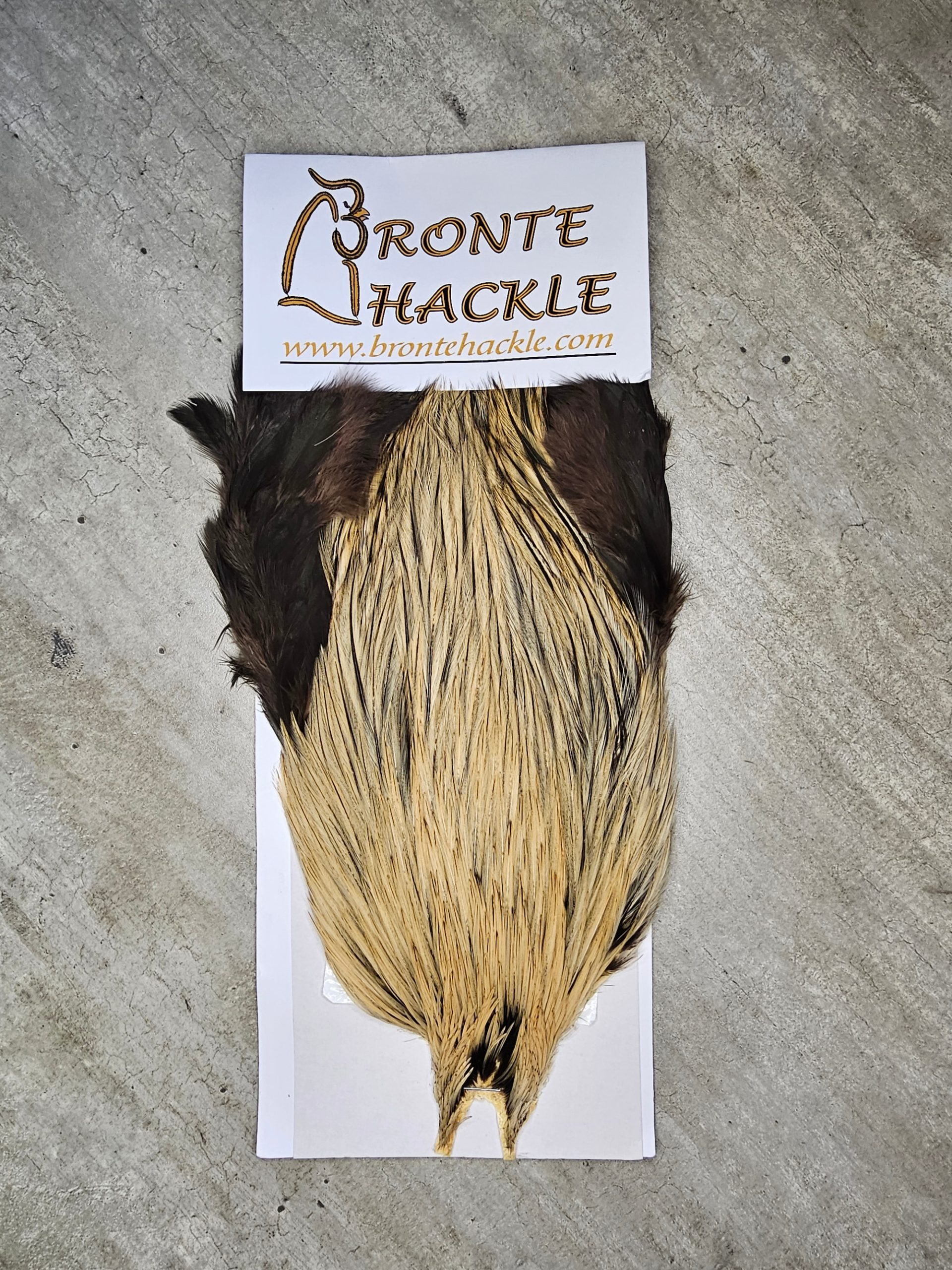 Bronte Hackle Cock Cape   cc-2019-19