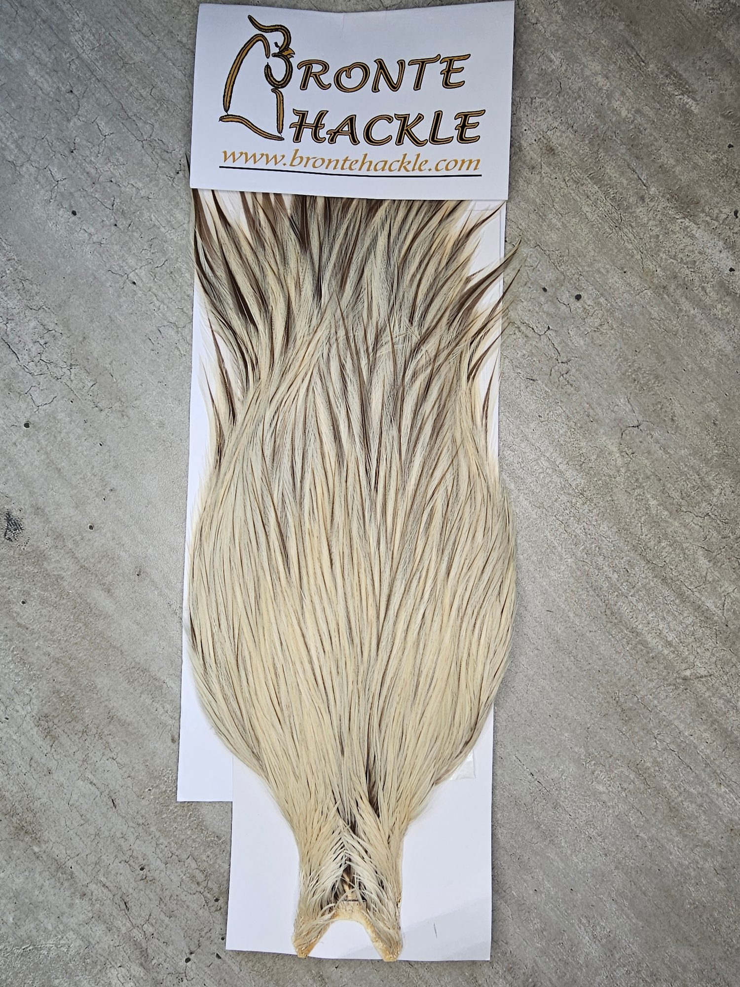 Bronte Hackle Cock Cape   cc-2019-49