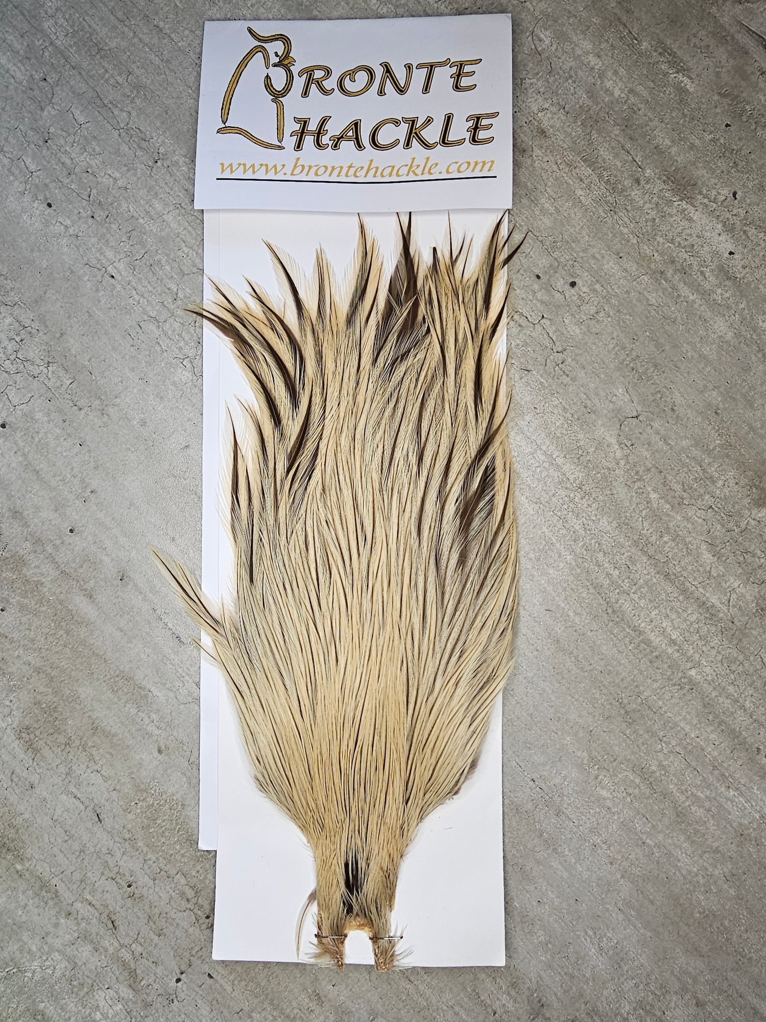 Bronte Hackle Cock Cape   cc-2019-47