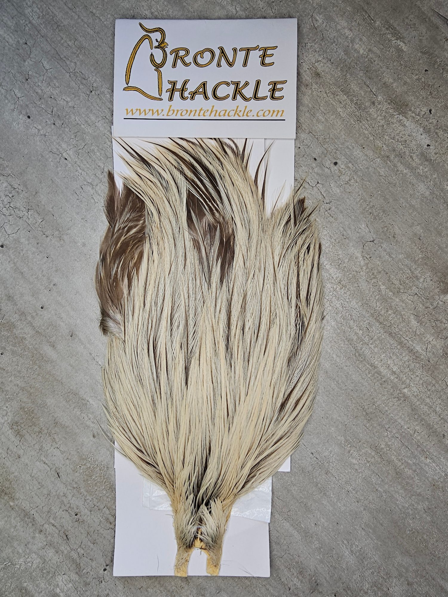 Bronte Hackle Cock Cape   cc-2019-41