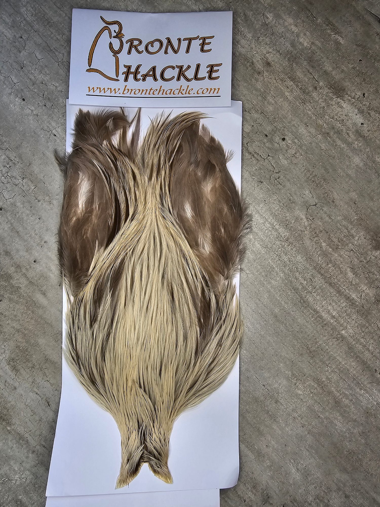 Bronte Hackle Cock Cape   cc-2026-47