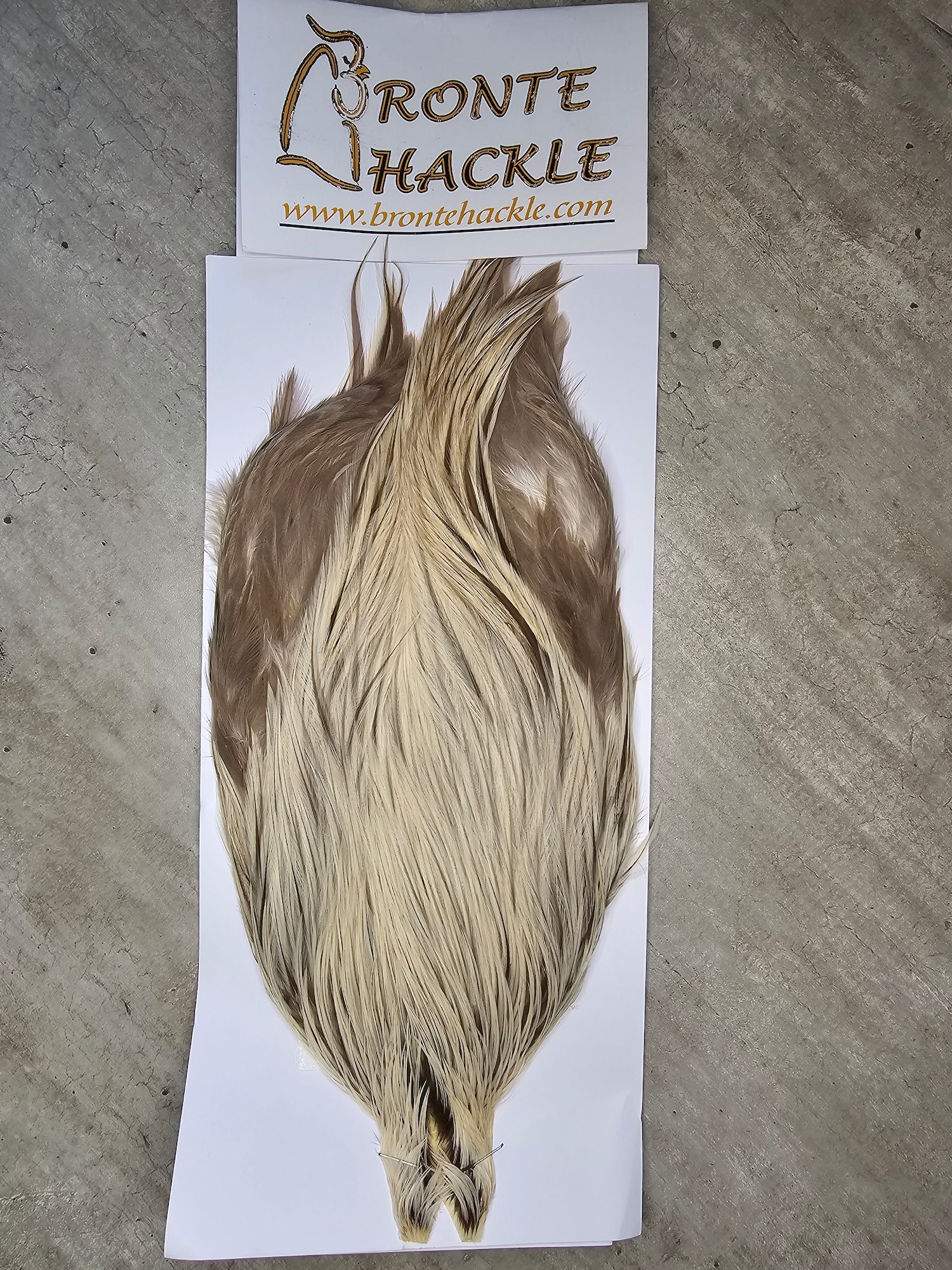 Bronte Hackle Cock Cape   cc-2026-48