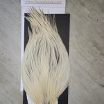 Bronte Hackle Cock Cape   cc-2019-34