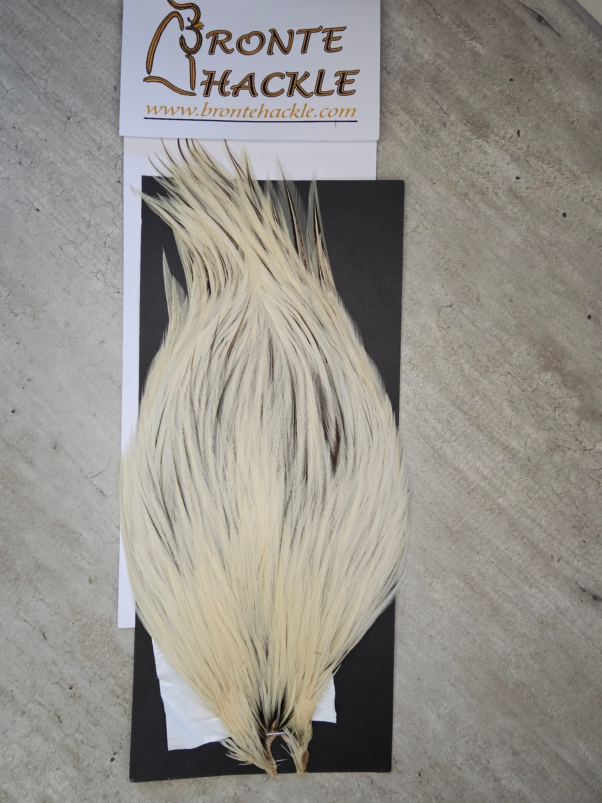 Bronte Hackle Cock Cape   cc-2019-34