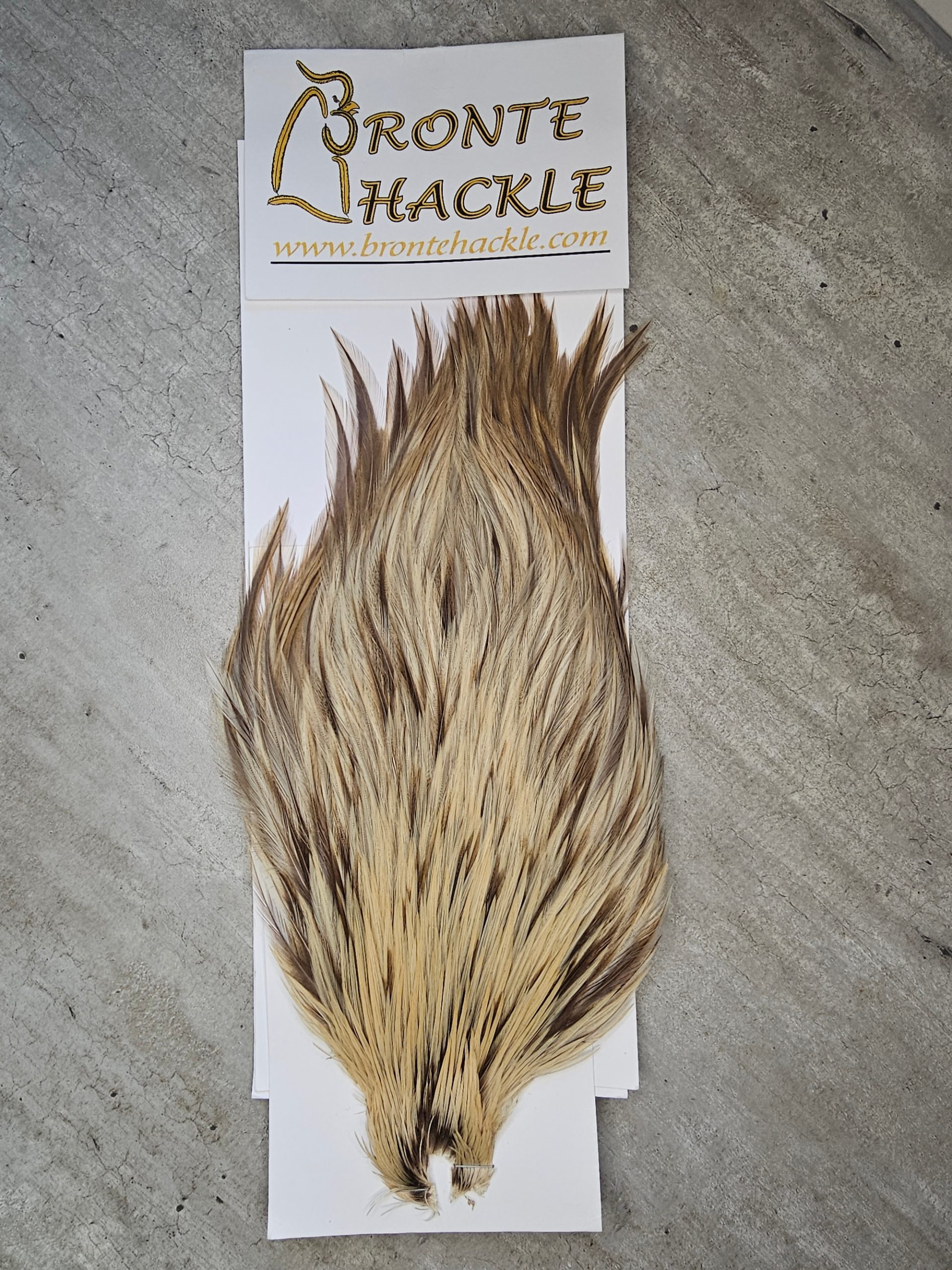 Bronte Hackle Cock Cape   cc-2019-48