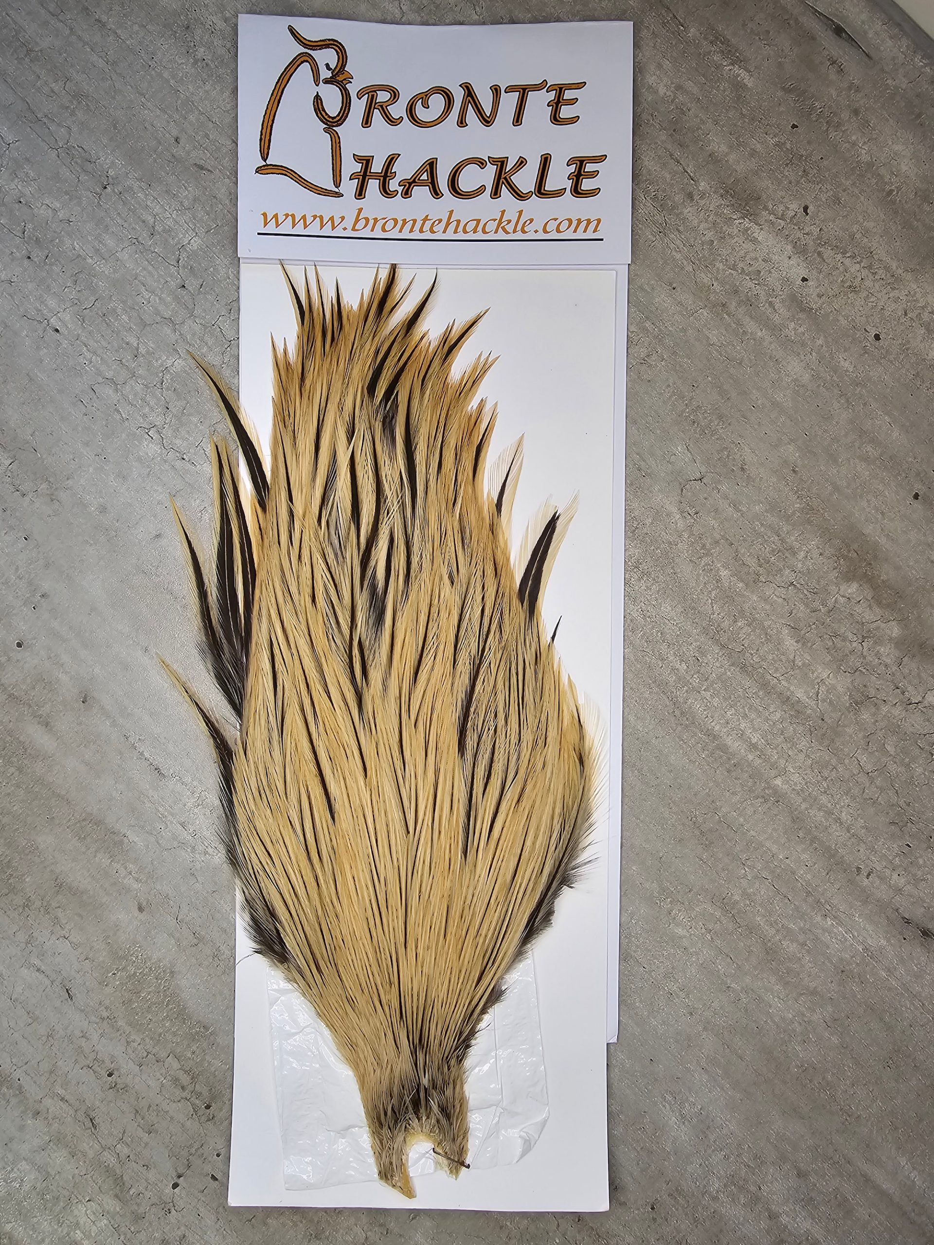 Bronte Hackle Cock Cape   cc-2026-49