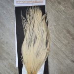 Bronte Hackle Cock Cape   cc-2026-50