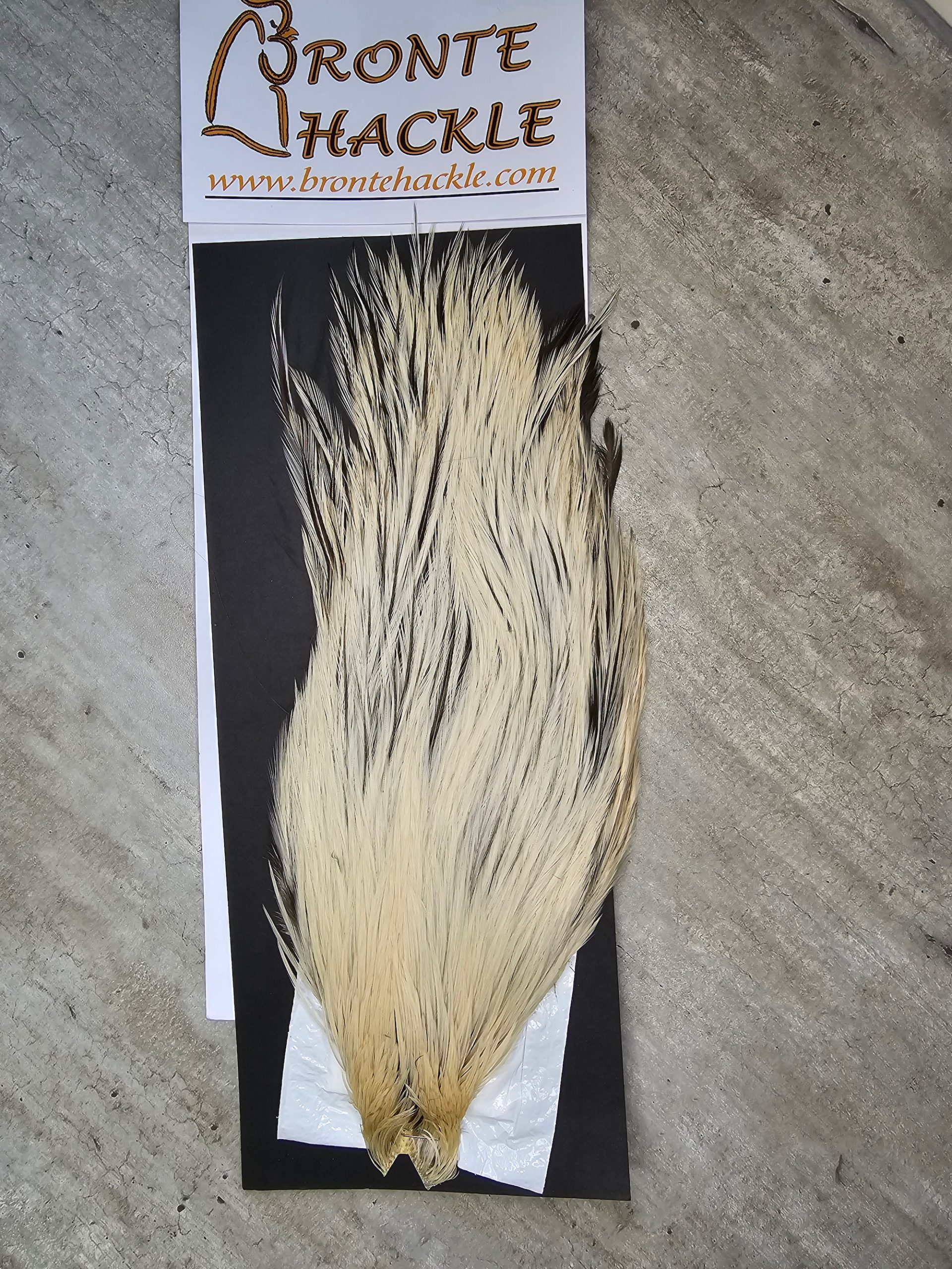 Bronte Hackle Cock Cape   cc-2026-50