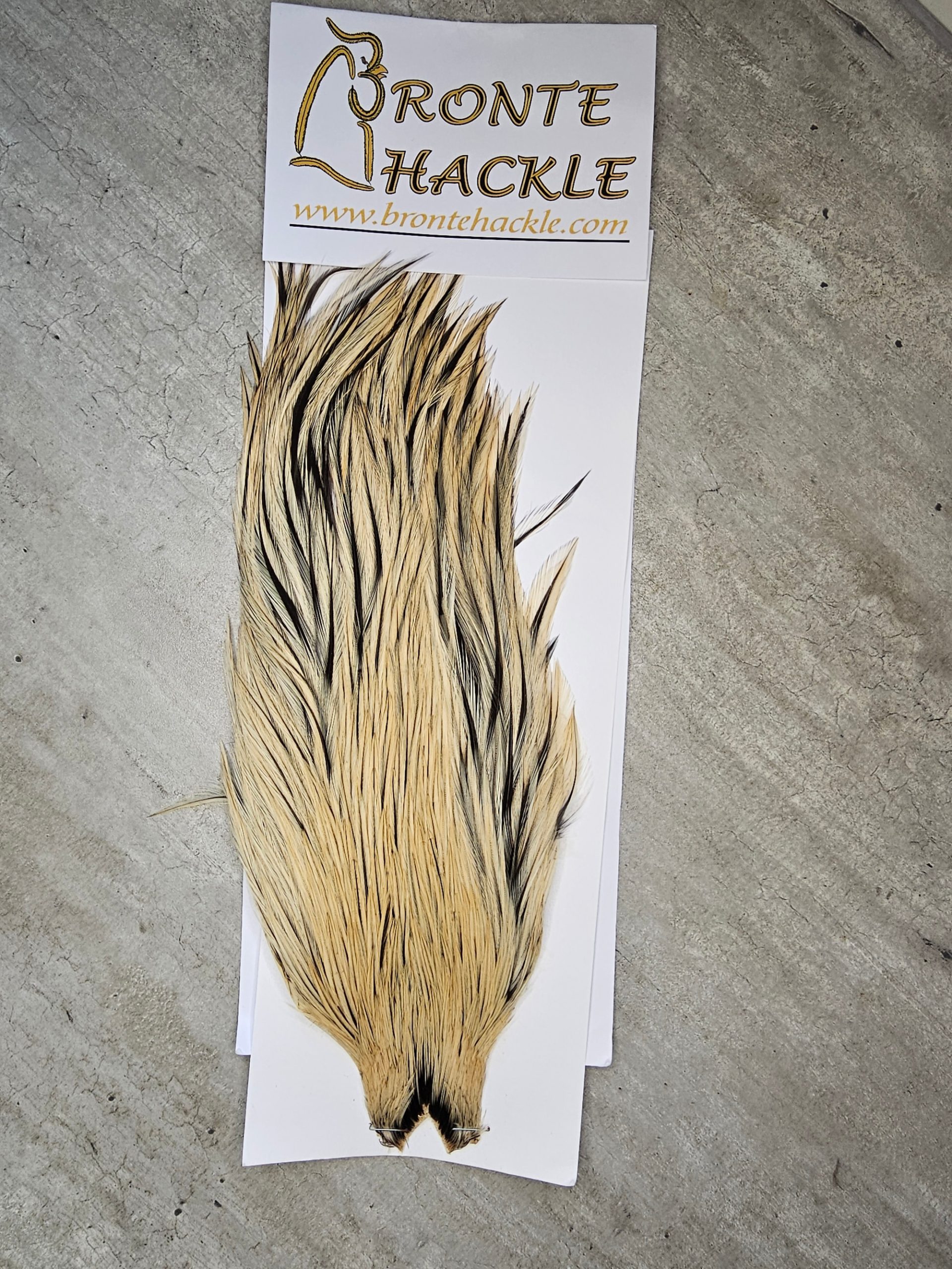 Bronte Hackle Cock Cape   cc-2019-38