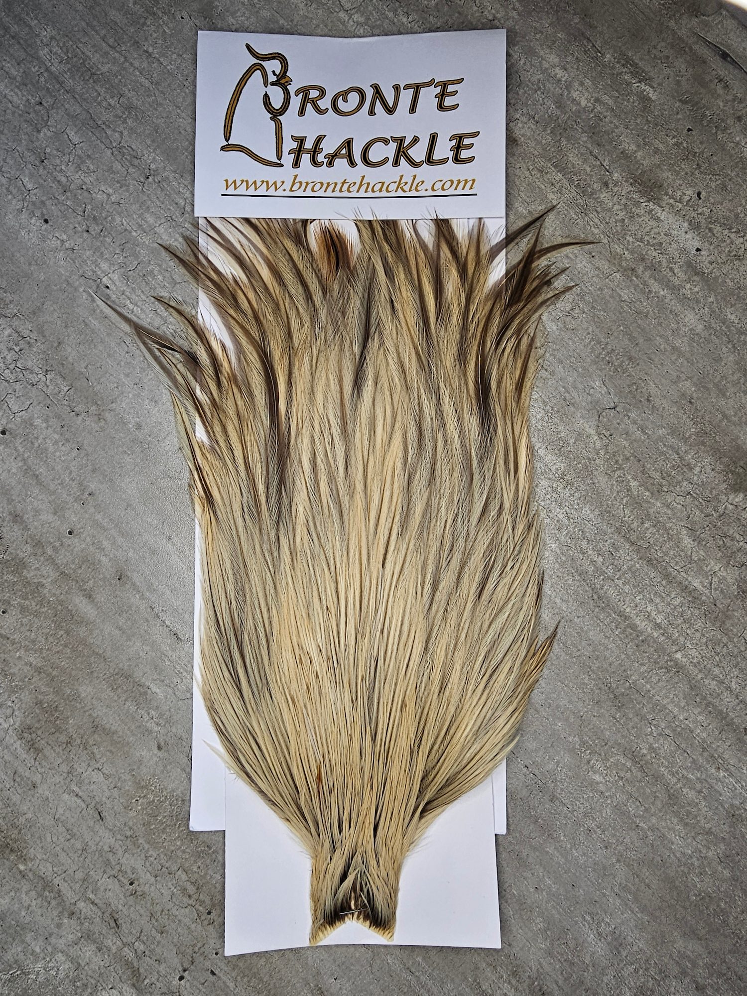 Bronte Hackle Cock Cape   cc-2019-63