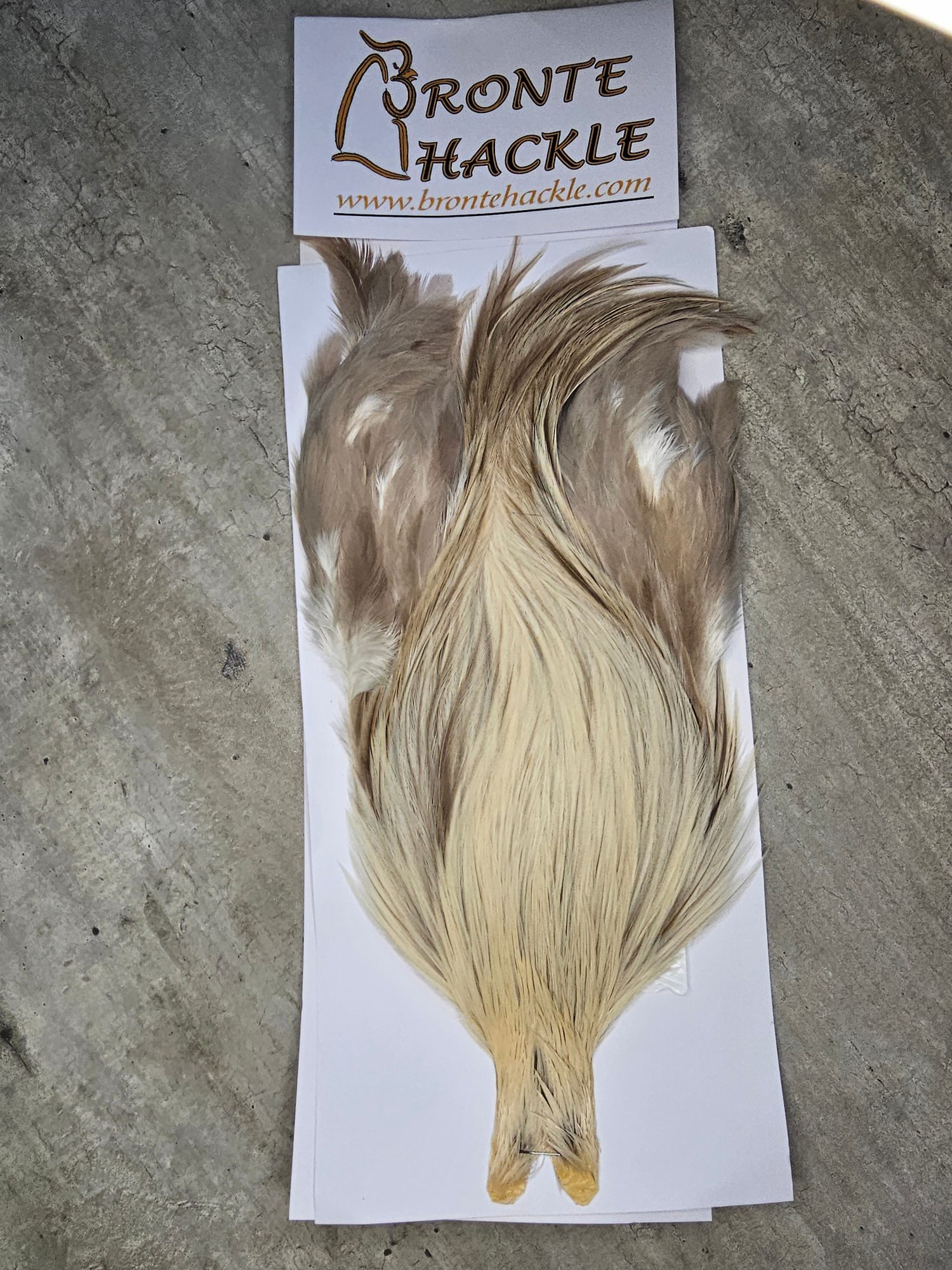 Bronte Hackle Cock Cape   cc-2026-51