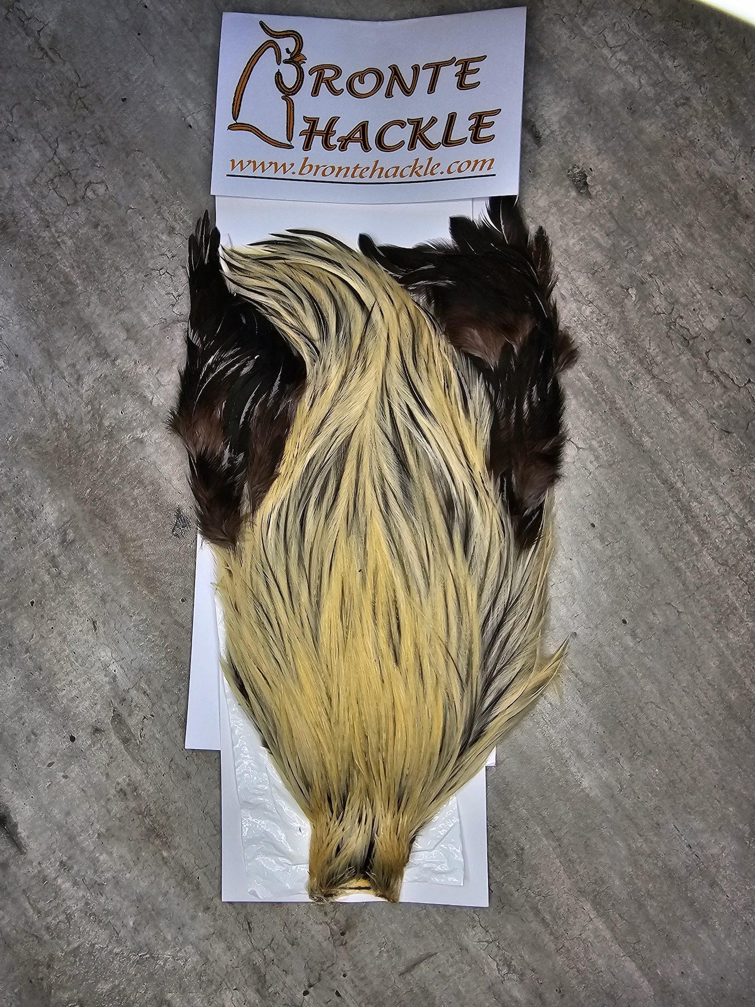 Bronte Hackle Cock Cape   cc-2019-39
