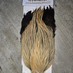 Bronte Hackle Cock Cape   cc-2019-40