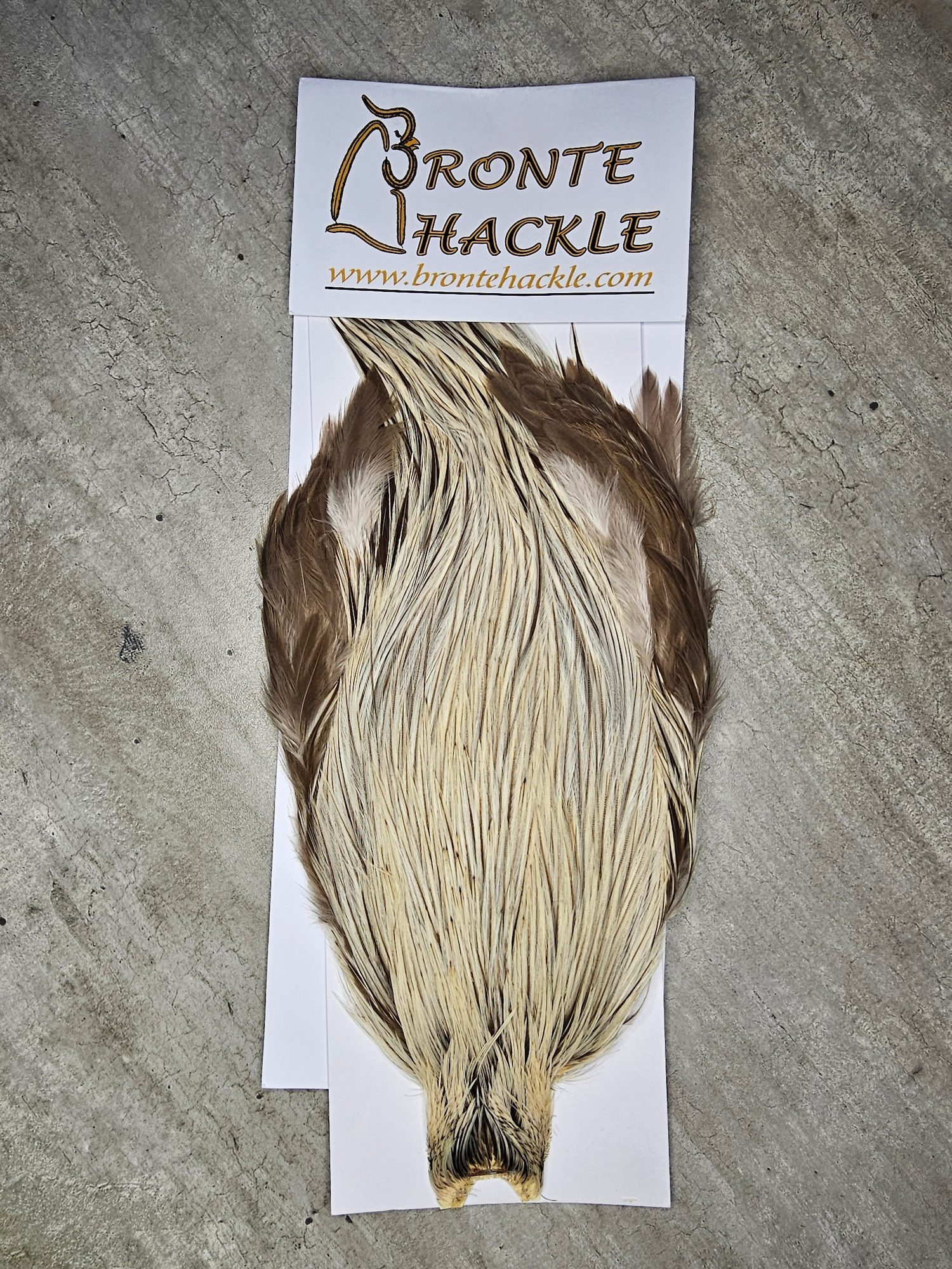 Bronte Hackle Cock Cape   cc-2019-10