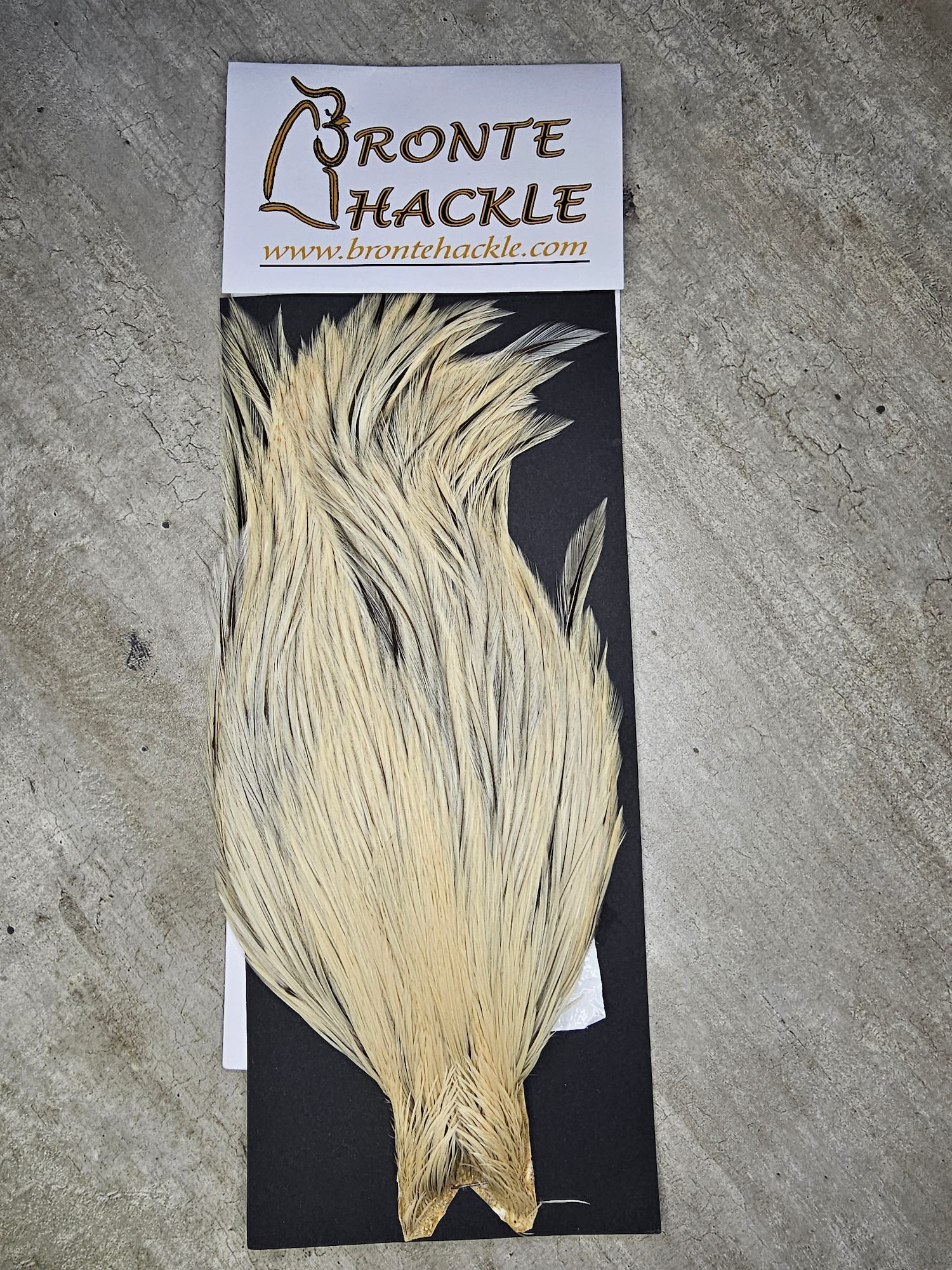 Bronte Hackle Cock Cape   cc-2019-37