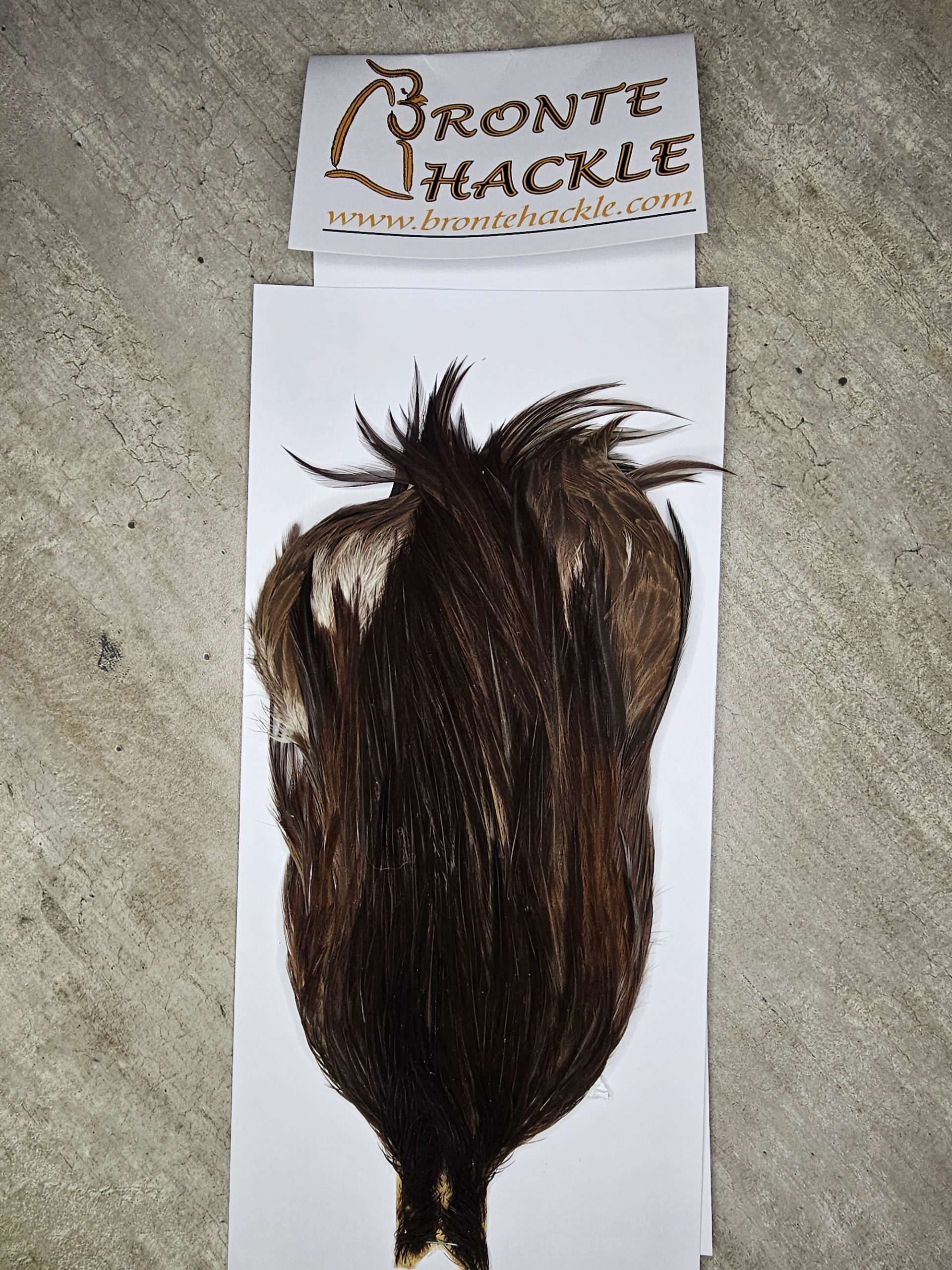 Bronte Hackle Cock Cape   cc-2026-52