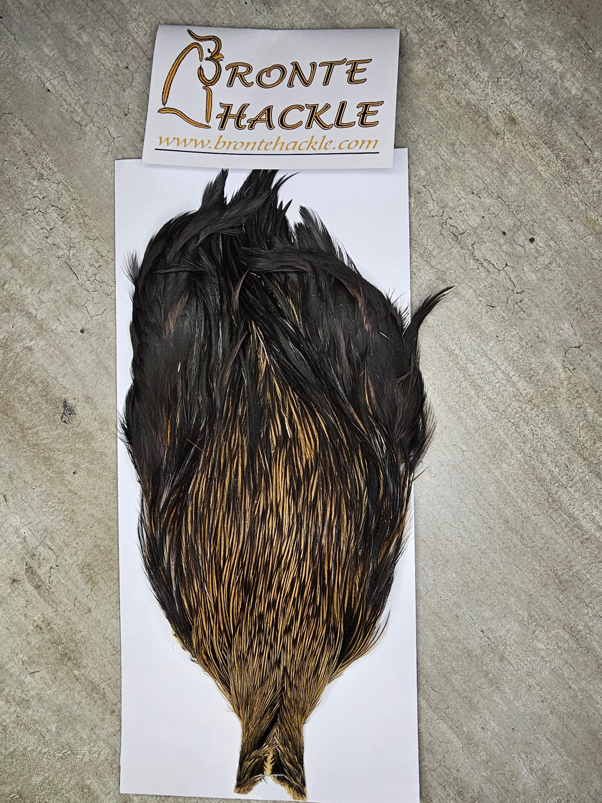Bronte Hackle Cock Cape   cc-2025-7