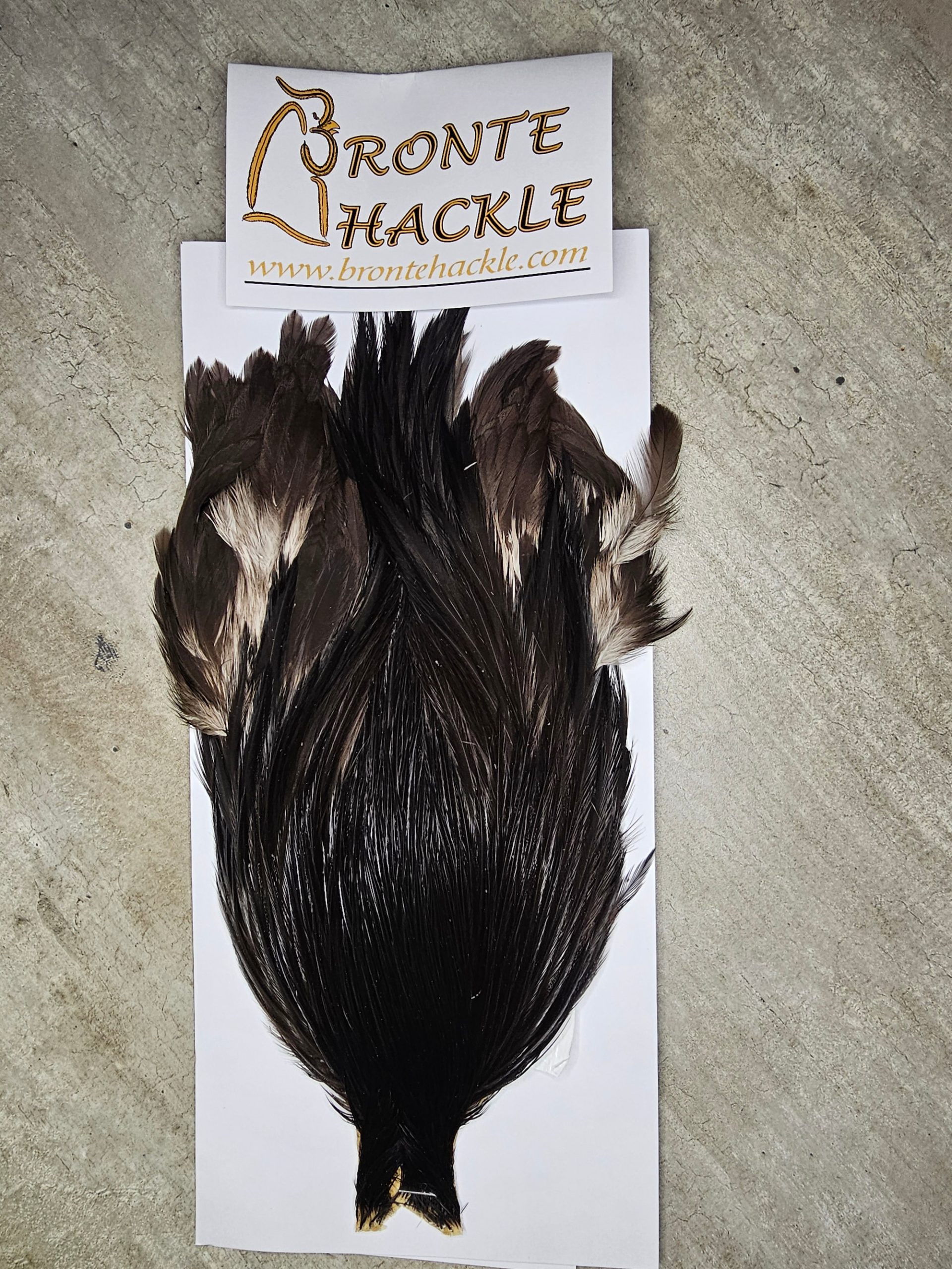 Bronte Hackle Cock Cape   cc-2026-53