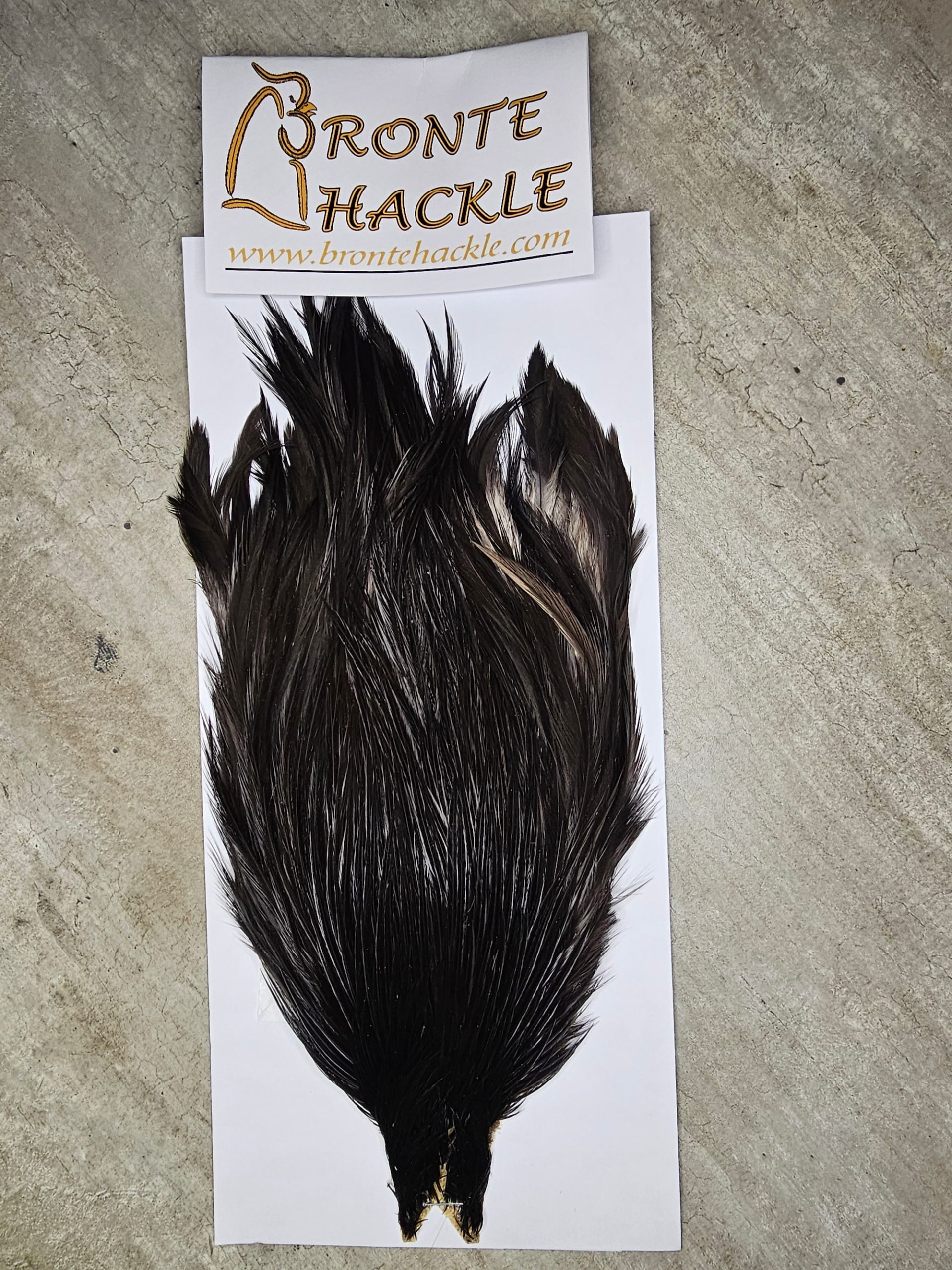 Bronte Hackle Cock Cape   cc-2026-54