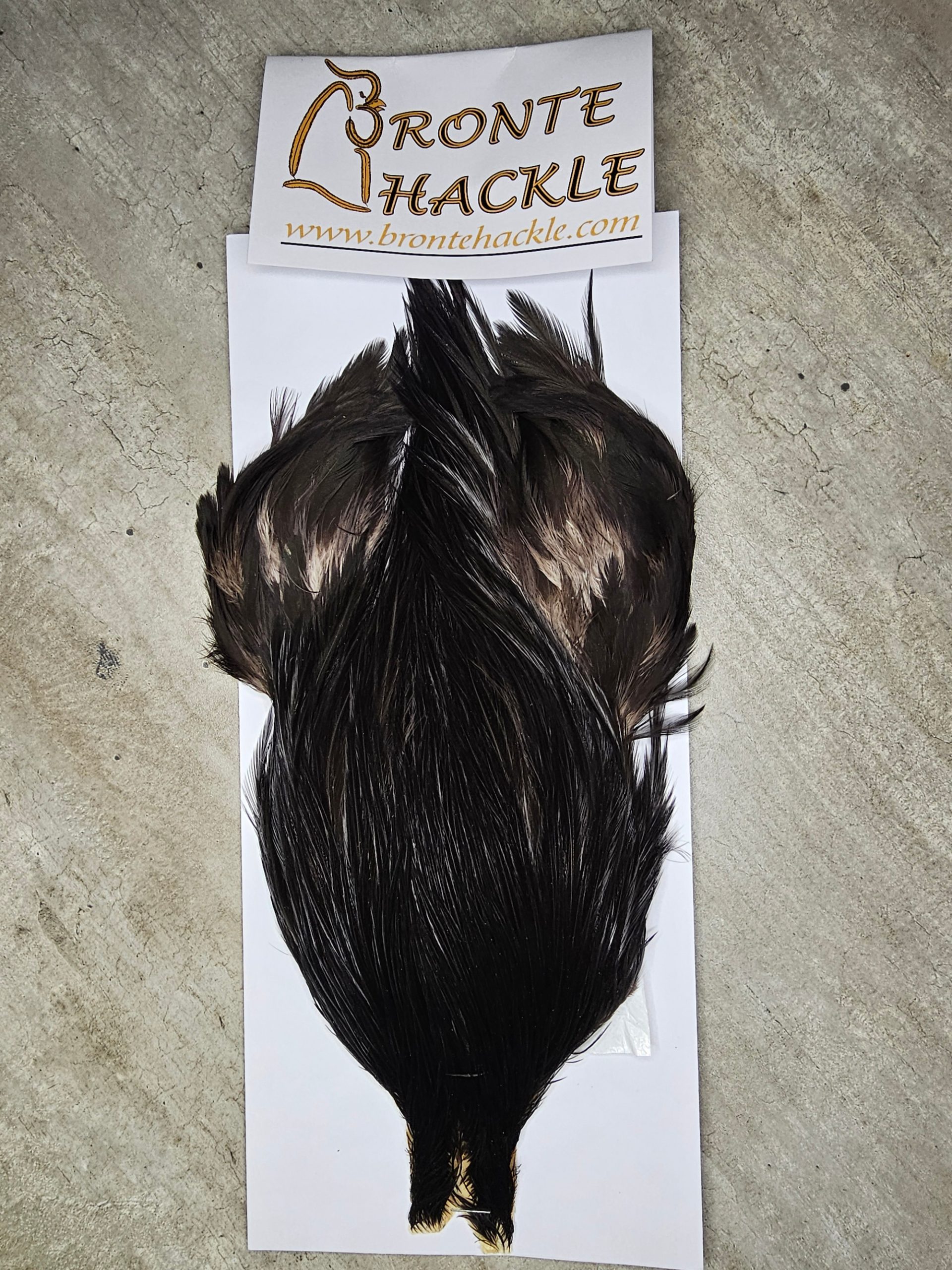 Bronte Hackle Cock Cape   cc-2026-56